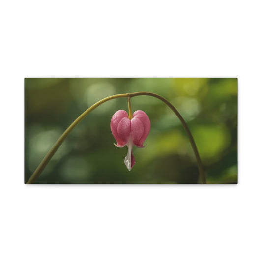 Bleeding Heart Flower Canvas Wall Art - Botanical Floral Art Print, Pink Bloom, Soft Green Bokeh - Contemporary Nature Wall Decor - Bedroom Home Decoration, Spa Wall Accent - Ready to Hang