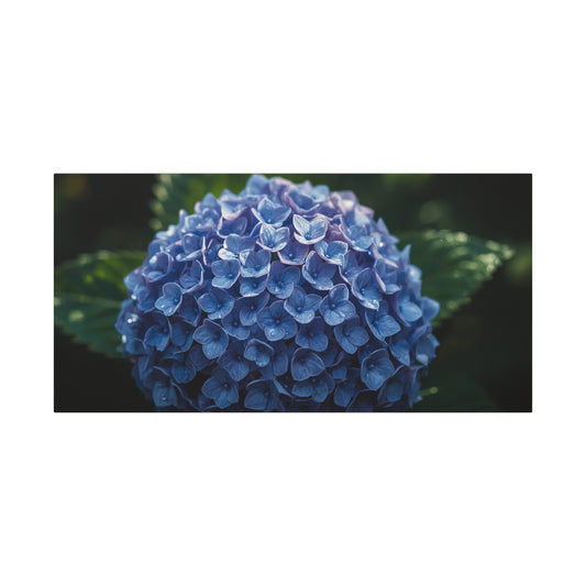 Blue Hydrangea Canvas Wall Art - Botanical Floral Close Up Art Print - Matte Cotton Art Print, Moody Garden Style - Bedroom Wall Decor, Bathroom Accent, Spa Inspired Home Decoration - Ready to Hang