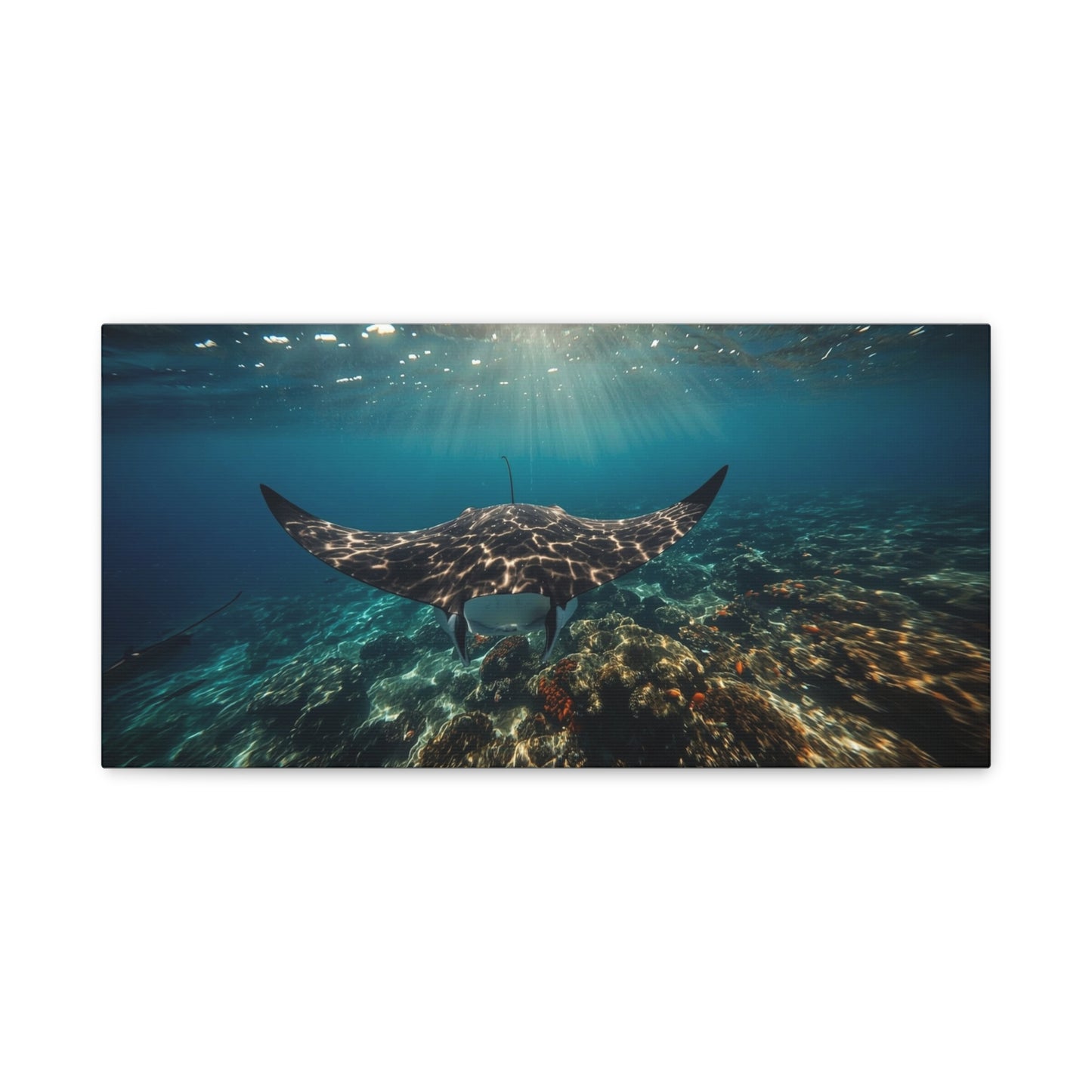 Manta Ray Canvas Wall Art - Underwater Ocean Art Print, Blue Coral Reef Seascape - Matte Cotton Canvas Print - Coastal Wall Decor, Living Room Home Decoration, Office Art - Bedroom Home Decoration