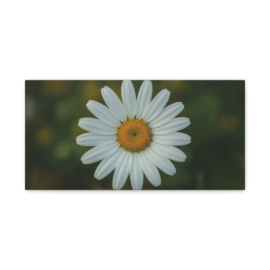 White Daisy Canvas Wall Art - Botanical Flower Close Up Art Print, Soft Green Background - Matte Cotton Art Print, Minimalist Floral Style - Bedroom Wall Decor Office Accent - Modern Farmhouse Style