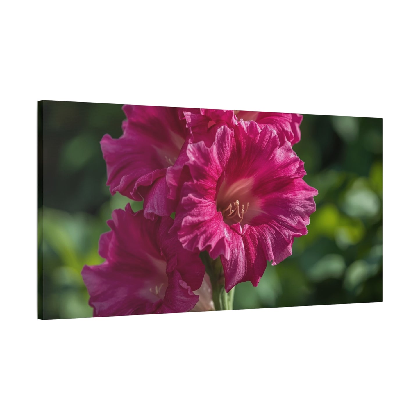 Magenta Gladiolus Flower Canvas Wall Art - Floral Botanical Close Up Art Print - Soft Light, Matte Cotton Canvas - Contemporary Bedroom Decor, Living Room Wall Decor, Office Accent - Ready to Hang
