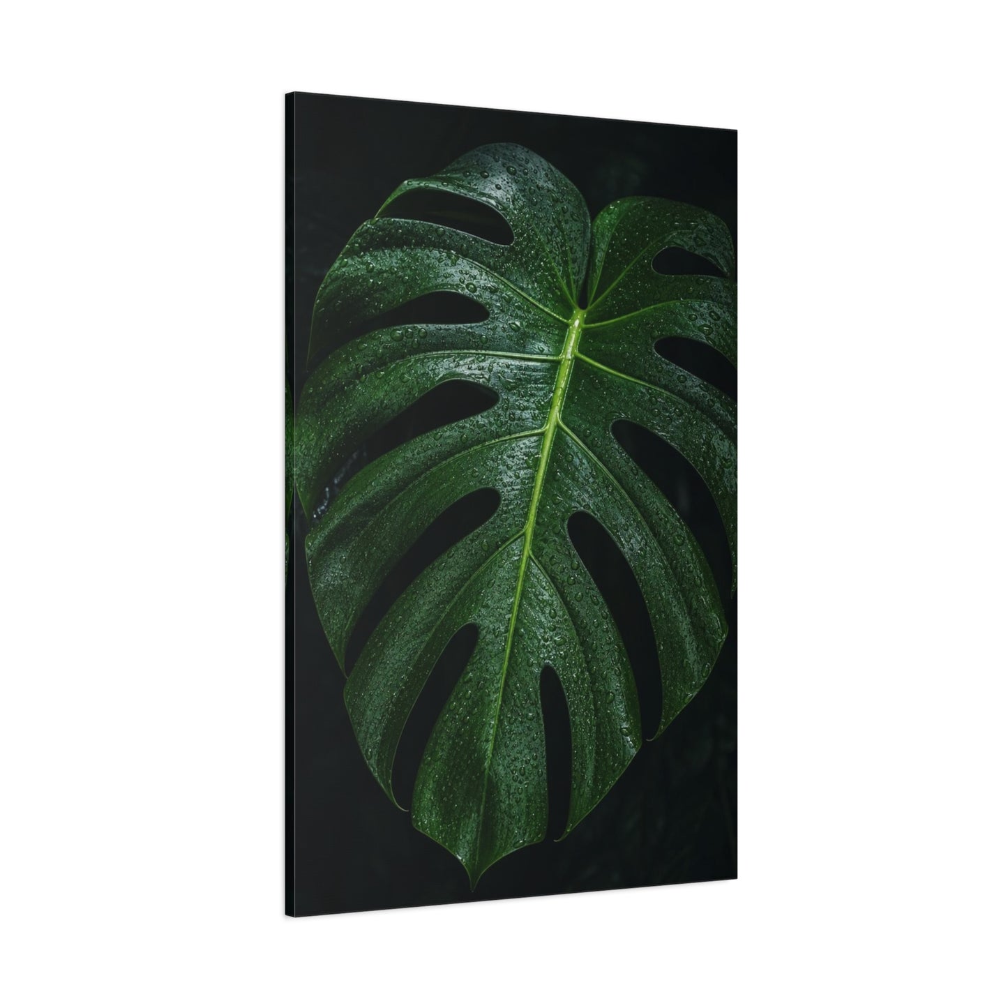 Monstera Leaf Canvas Wall Art - Botanical Art Print, Dark Green Tropical Foliage Print - Matte Cotton Canvas - Contemporary Minimalist Style - Living Room Wall Decor, Bedroom Home Accent