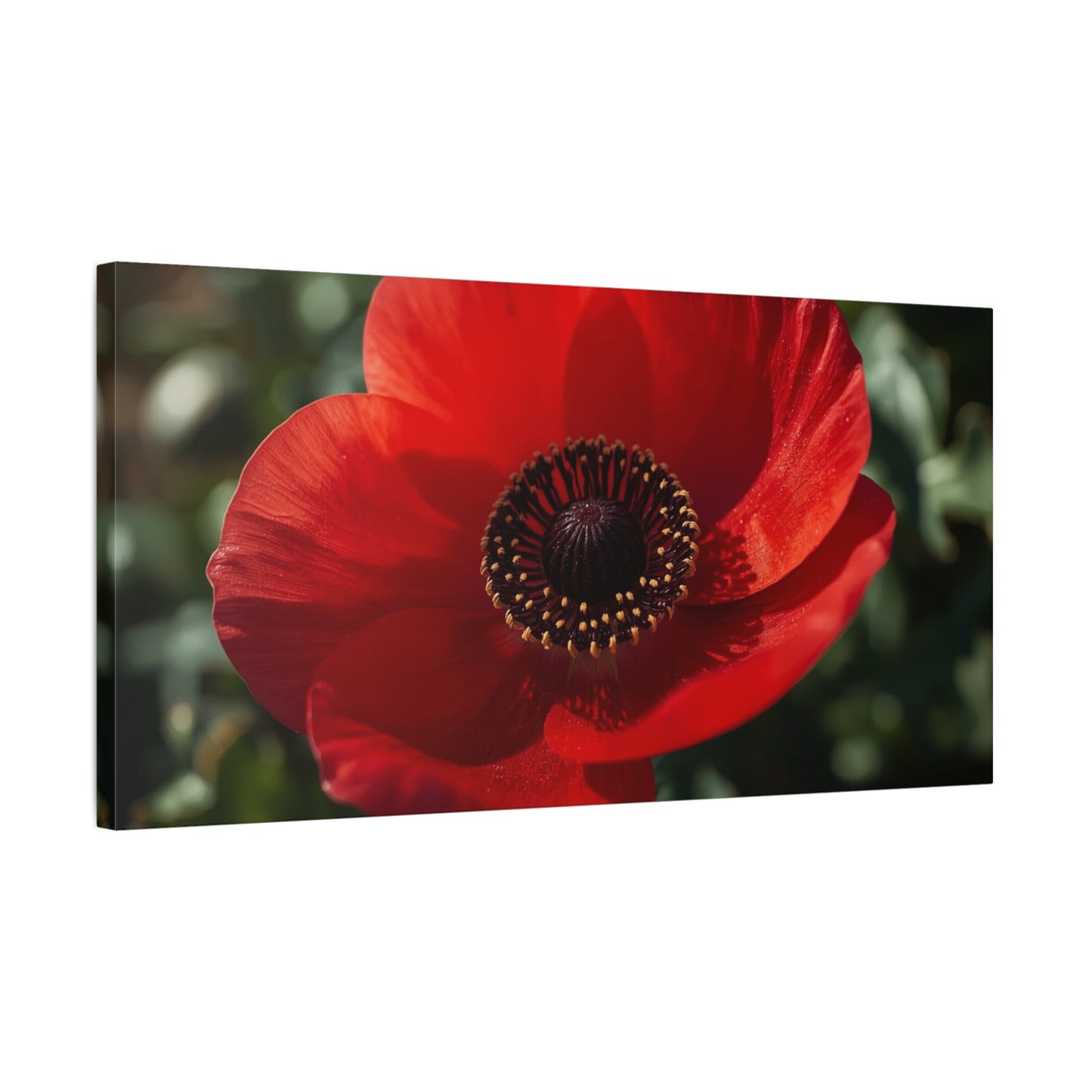 Red Poppy Flower Canvas Wall Art - Botanical Floral Close Up Art Print, Matte Canvas Print - Contemporary Nature Wall Decor, Bedroom Home Decoration, Living Room Accent, Office Art - Ready to Hang