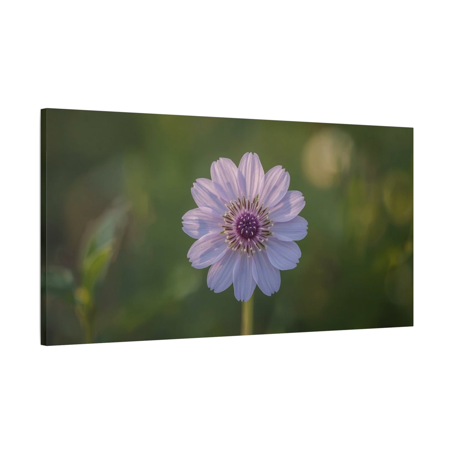 Purple Cosmos Flower Canvas Wall Art - Botanical Floral Art Print, Soft Green Bokeh Background - Matte Cotton Canvas - Contemporary Style, Bedroom Wall Decor, Living Room Accent