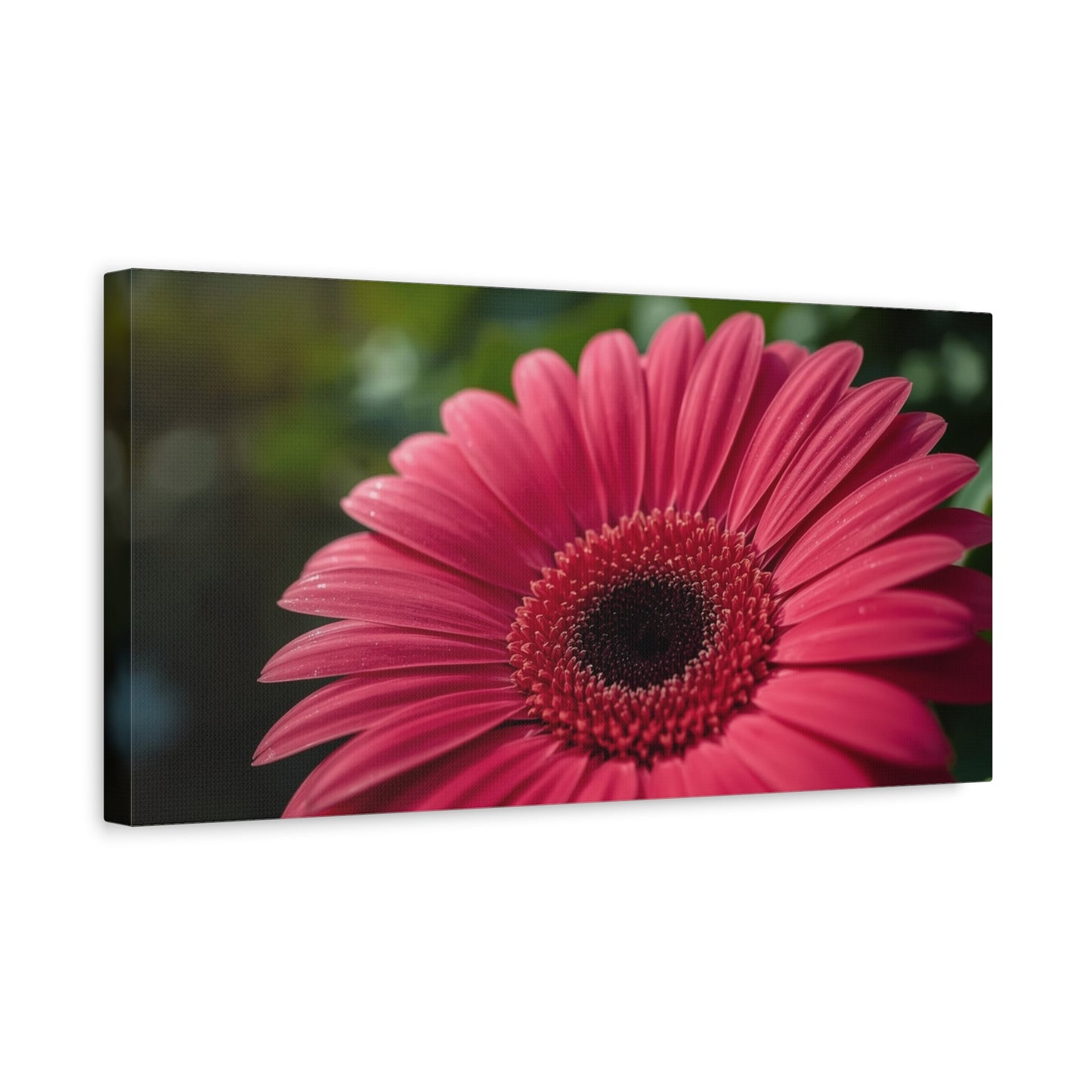 Pink Gerbera Daisy Canvas Wall Art - Floral Macro Art Print, Botanical Canvas Print - Modern Nature Home Decor, Bedroom Wall Hanging, Living Room Decoration, Office Accent - Bedroom Home Decoration
