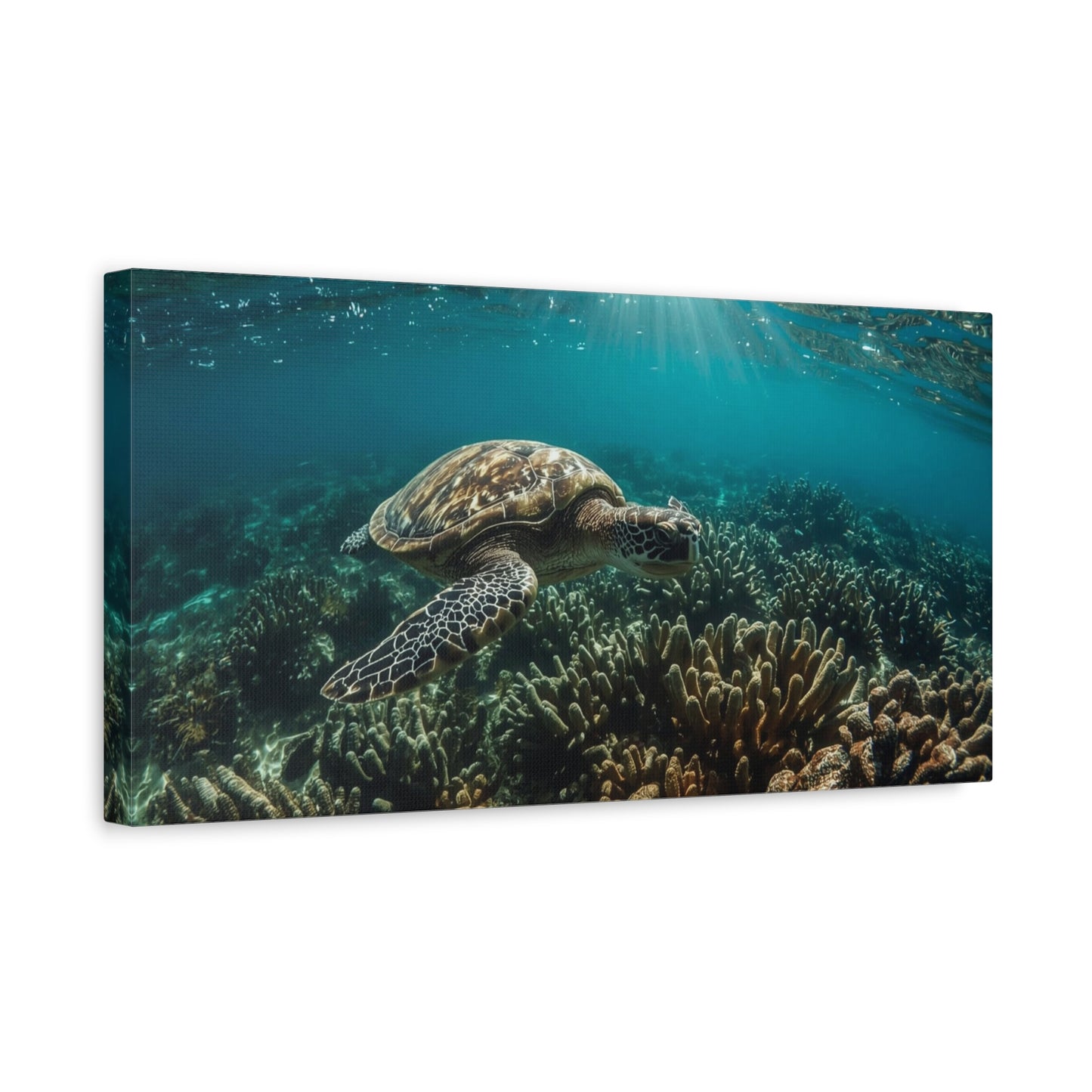 Sea Turtle Canvas Wall Art - Underwater Ocean Reef Art Print, Sunlit Blue Seascape, Coastal Wall Decor, Matte Finish Canvas Print, Living Room Decoration, Bedroom Home Accent - Ready to Hang