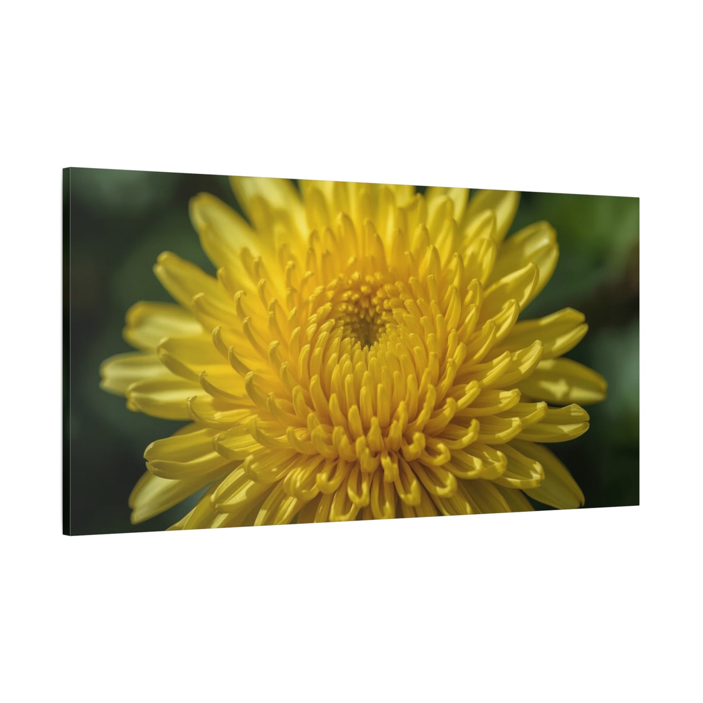 Yellow Chrysanthemum Canvas Wall Art - Floral Macro Art Print, Botanical Canvas Print - Modern Matte Decor, Bedroom Wall Accent, Living Room Home Decoration Office Art - Bedroom Home Decoration