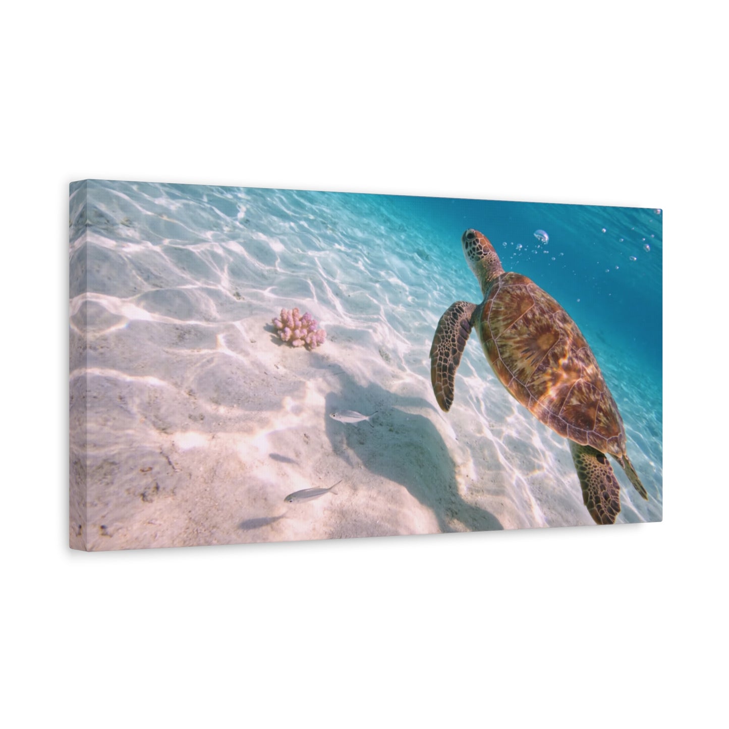 Sea Turtle Canvas Wall Art - Underwater Ocean Art Print, Coastal Beach Decor, Cotton Canvas Print, Serene Blue Seascape, Living Room Wall Decor, Bedroom Home Decoration - Bedroom Home Decoration
