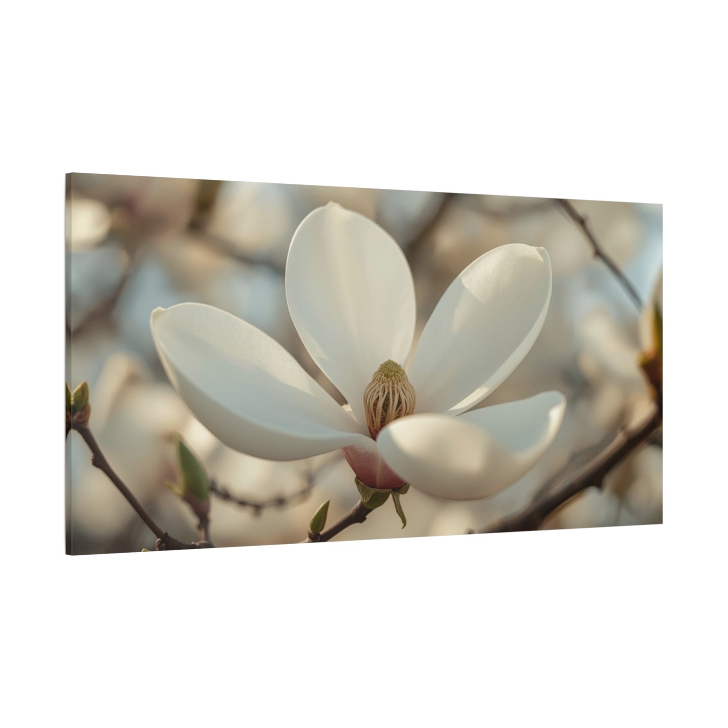 White Magnolia Flower Canvas Wall Art - Soft Botanical Art Print, Cotton Canvas Print - Traditional Style, Bedroom Wall Decor, Living Room Home Decoration, Office Art Accent - Modern Farmhouse Style