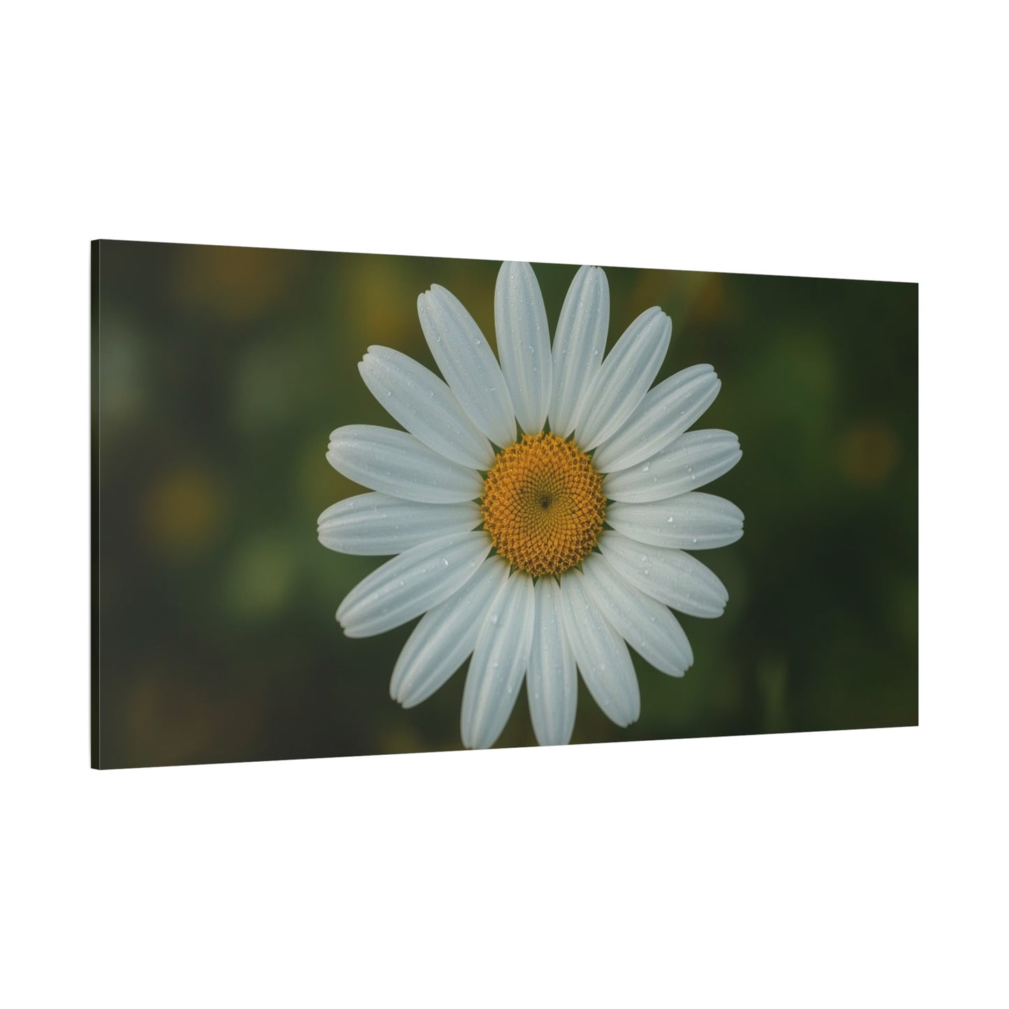 White Daisy Canvas Wall Art - Botanical Flower Close Up Art Print, Soft Green Background - Matte Cotton Art Print, Minimalist Floral Style - Bedroom Wall Decor Office Accent - Modern Farmhouse Style
