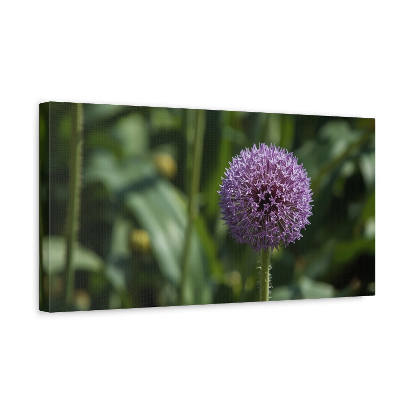 Purple Allium Flower Canvas Wall Art - Botanical Art Print, Soft Focus Garden Bloom - Matte Cotton Art Print - Contemporary Floral Style - Bedroom Wall Decor, Spa Wall Accent - Ready to Hang
