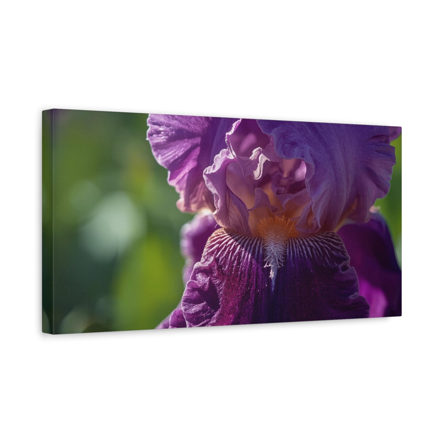 Purple Iris Canvas Wall Art - Floral Macro Art Print, Botanical Canvas Print - Soft Matte Cotton Detail, Contemporary Style - Bedroom Wall Decor, Living Room Home Accent - Bedroom Home Decoration