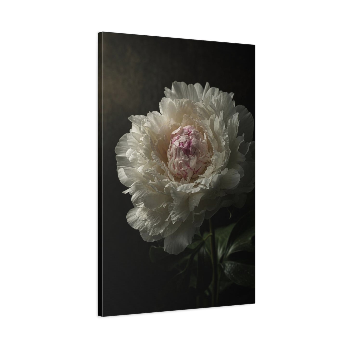 White Peony Canvas Wall Art - Moody Floral Art Print, Dark Botanical Canvas, Matte Finish - Vintage Style, Bedroom Wall Decor, Living Room Home Decoration Accent - Bedroom Home Decoration