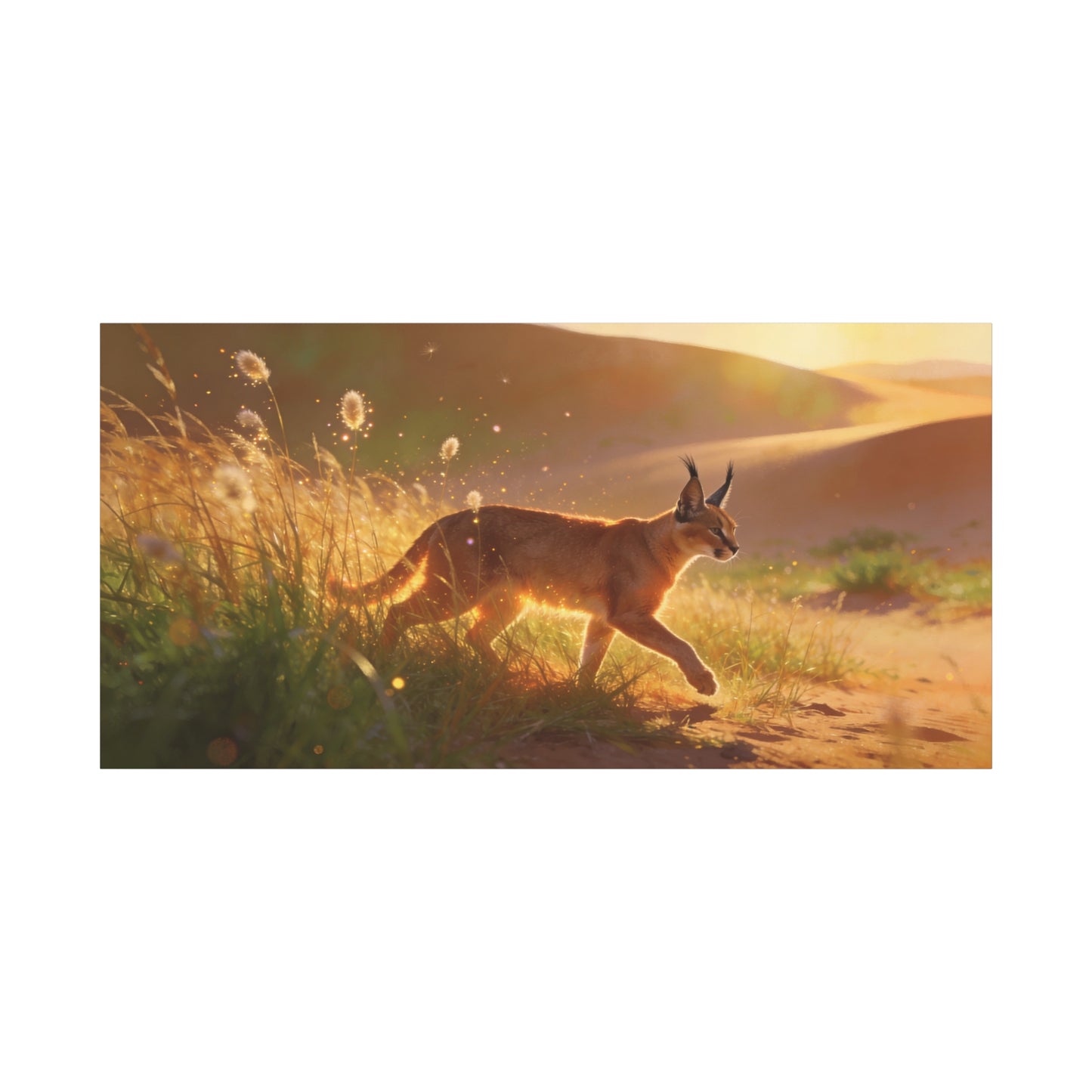 Caracal Canvas Wall Art - Golden Desert Wildlife Scene, Sunlit Grassland Illustration - Matte Cotton Art Print, Contemporary Nature Decor - Living Room Accent, Bedroom Decoration - Ready to Hang