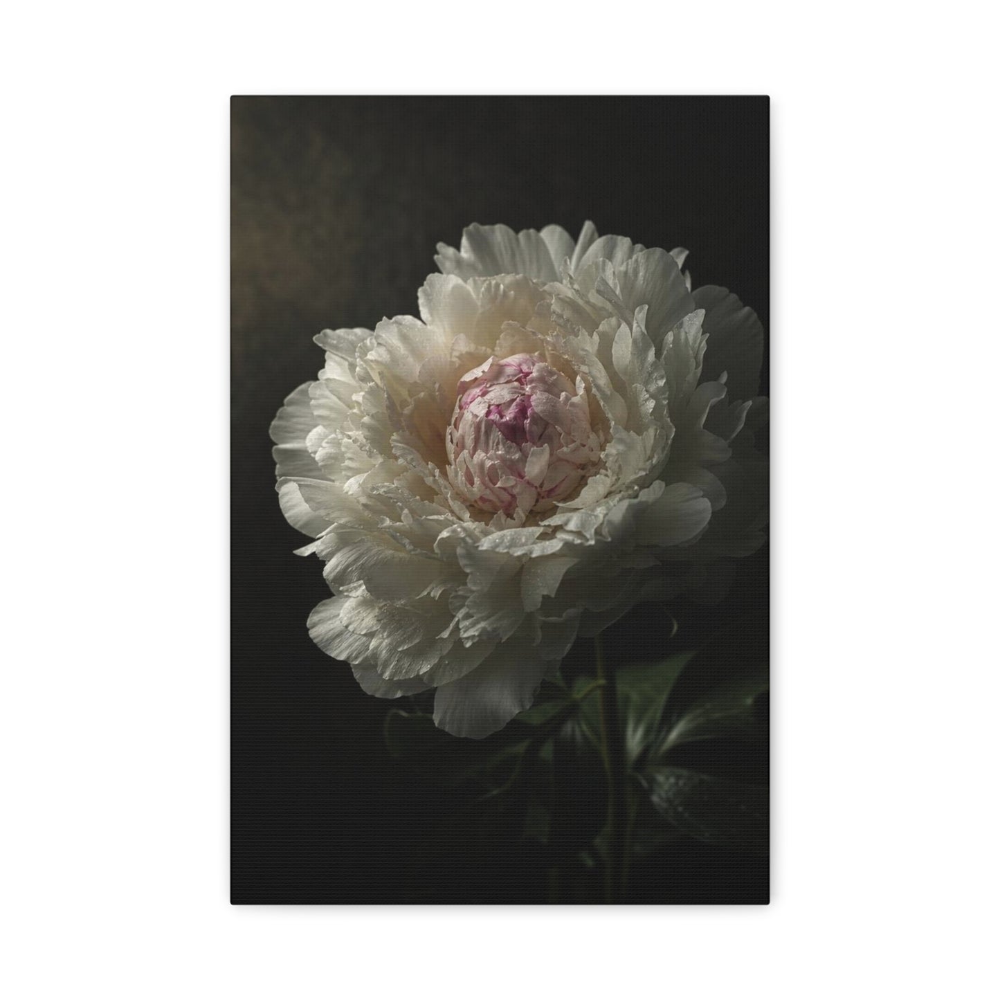White Peony Canvas Wall Art - Moody Floral Art Print, Dark Botanical Canvas, Matte Finish - Vintage Style, Bedroom Wall Decor, Living Room Home Decoration Accent - Bedroom Home Decoration