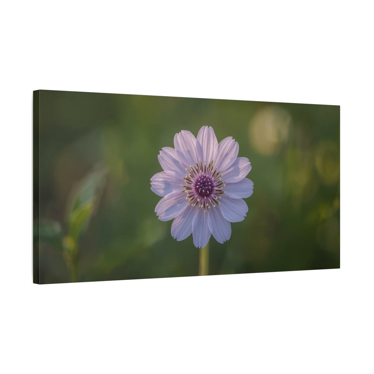 Purple Cosmos Flower Canvas Wall Art - Botanical Floral Art Print, Soft Green Bokeh Background - Matte Cotton Canvas - Contemporary Style, Bedroom Wall Decor, Living Room Accent