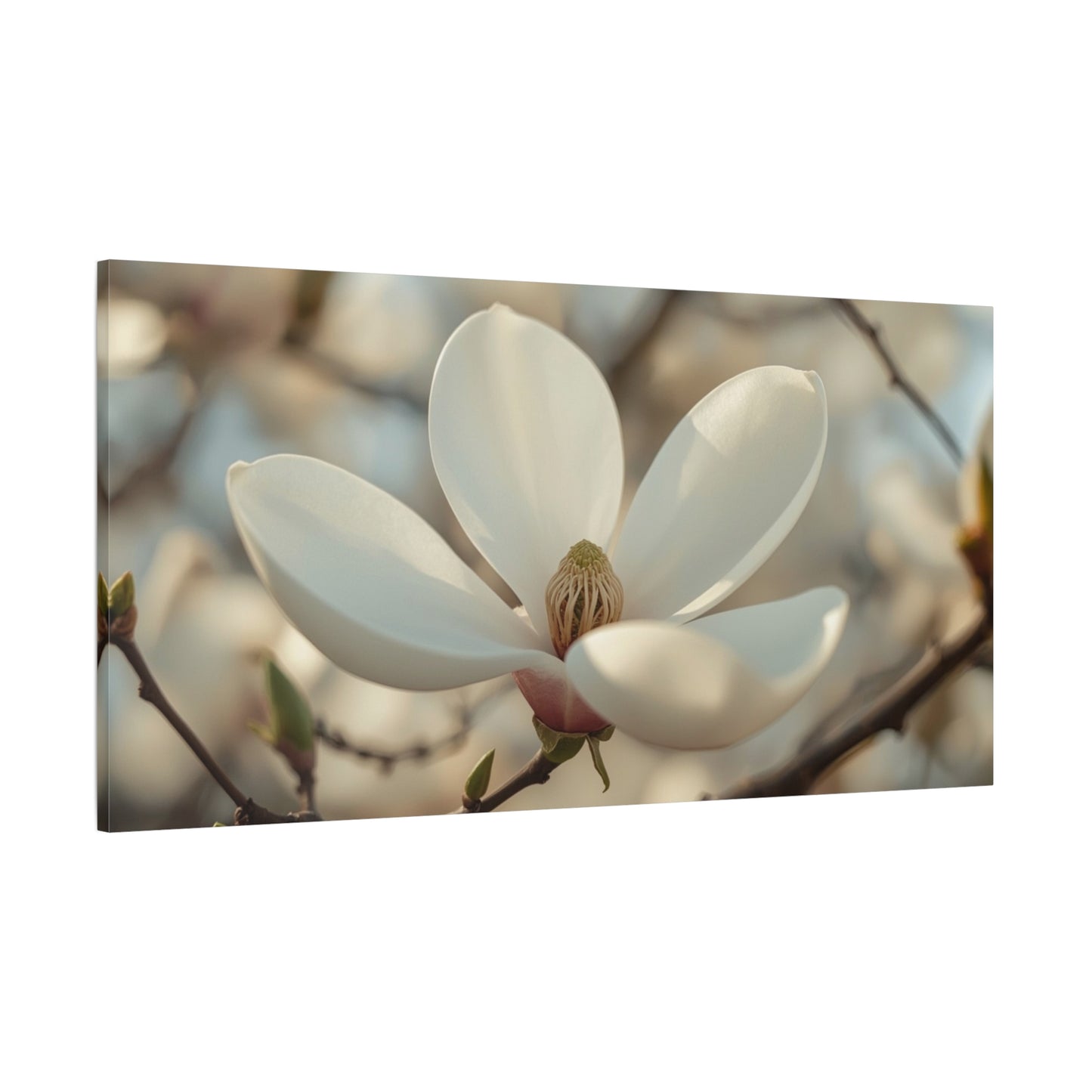White Magnolia Flower Canvas Wall Art - Soft Botanical Art Print, Cotton Canvas Print - Traditional Style, Bedroom Wall Decor, Living Room Home Decoration, Office Art Accent - Modern Farmhouse Style