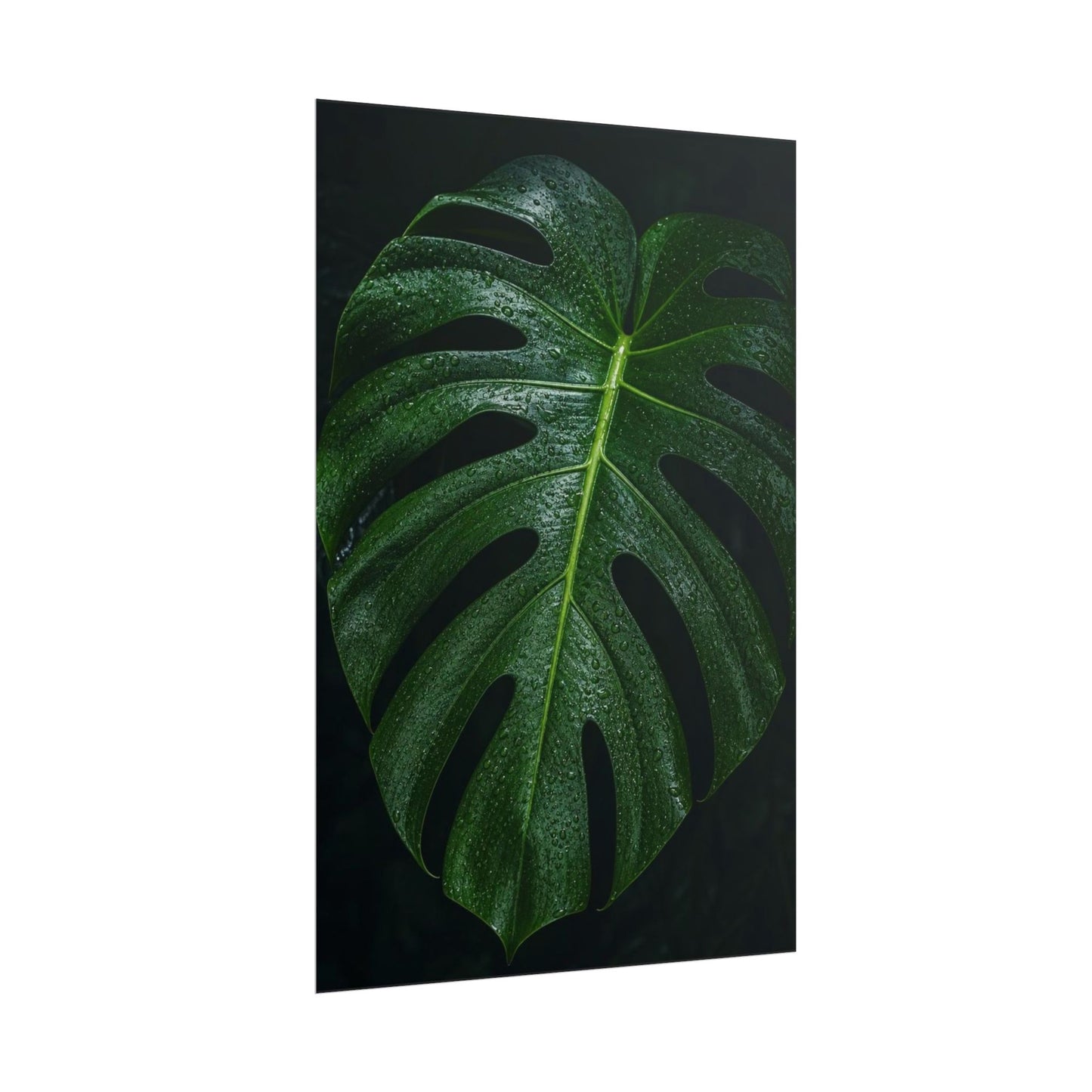 Gpt Image 2 Hyper Realistic Fine Art Botanical Photogra Ad4648e9 — Poster
