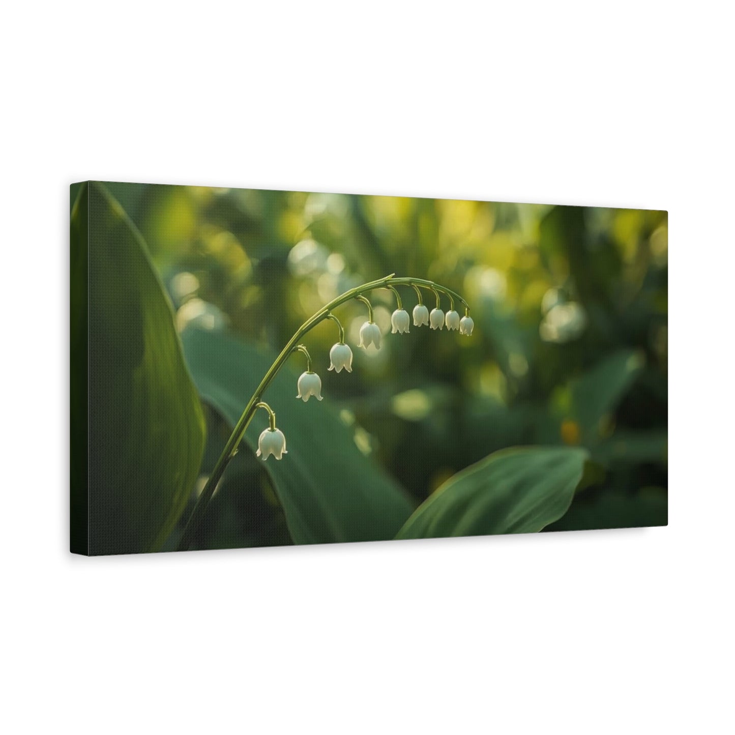 Lily Of The Valley Canvas Wall Art - Botanical Floral Close Up, Soft Green Bokeh - Matte Cotton Art Print, Traditional Style - Bedroom Decoration, Bathroom Accent, Spa Wall Decor - Ready to Hang