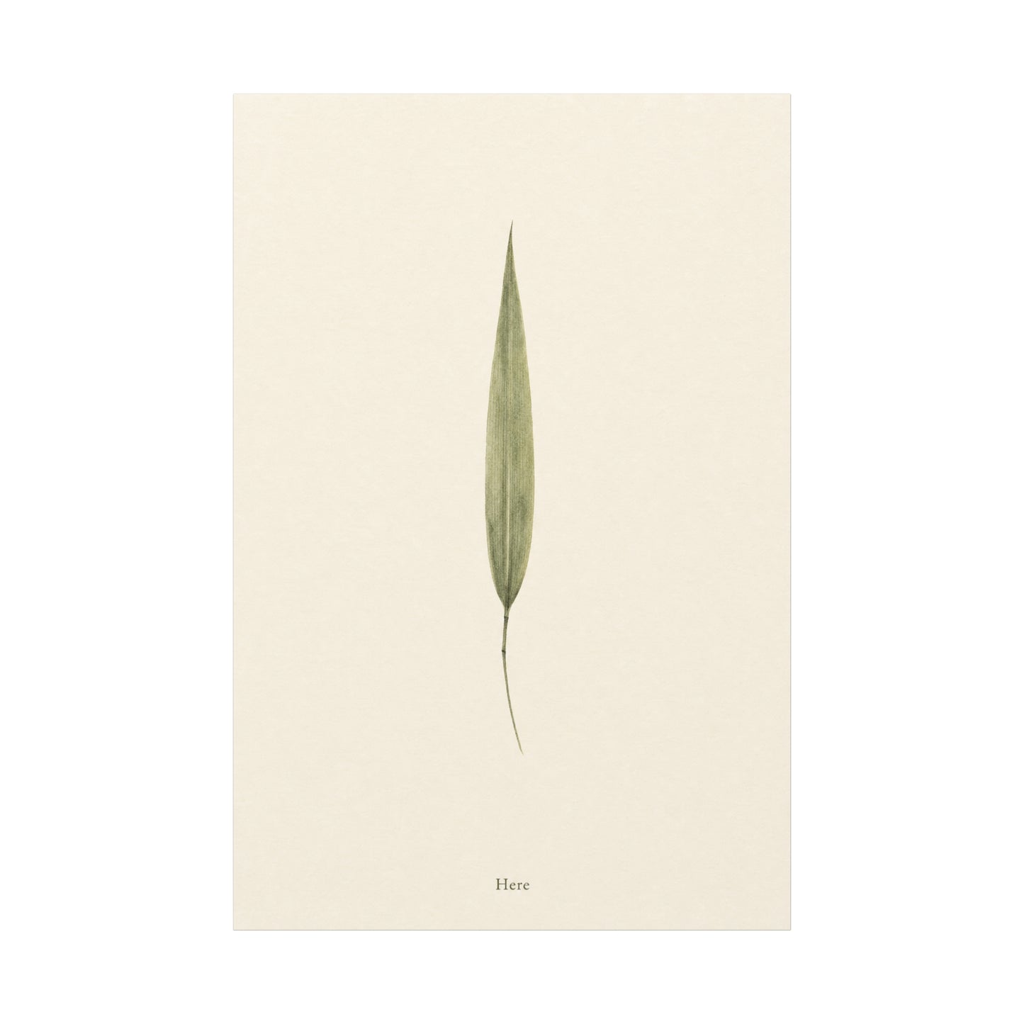 "Here" Minimalist Botanical Canvas Wall Art - Single Green Leaf Print, Neutral Contemporary Nature Decor - Cotton Art Print For Bedroom Living Room, Japandi Home Decoration - Living Room Wall Decor