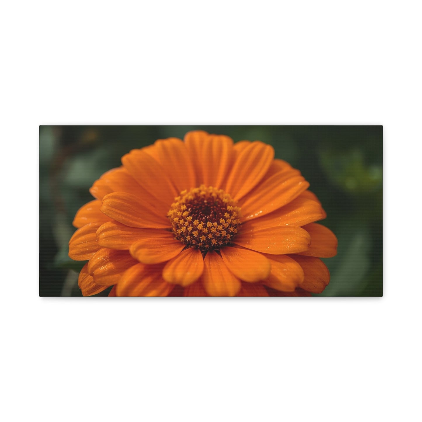 Orange Daisy Flower Canvas Wall Art - Botanical Macro Floral Art Print - Matte Cotton Canvas, Contemporary Nature Wall Decor - Bedroom Home Decoration, Living Room Accent - Ready to Hang