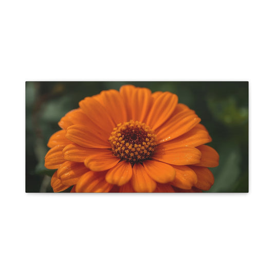 Orange Daisy Flower Canvas Wall Art - Botanical Macro Floral Art Print - Matte Cotton Canvas, Contemporary Nature Wall Decor - Bedroom Home Decoration, Living Room Accent - Ready to Hang
