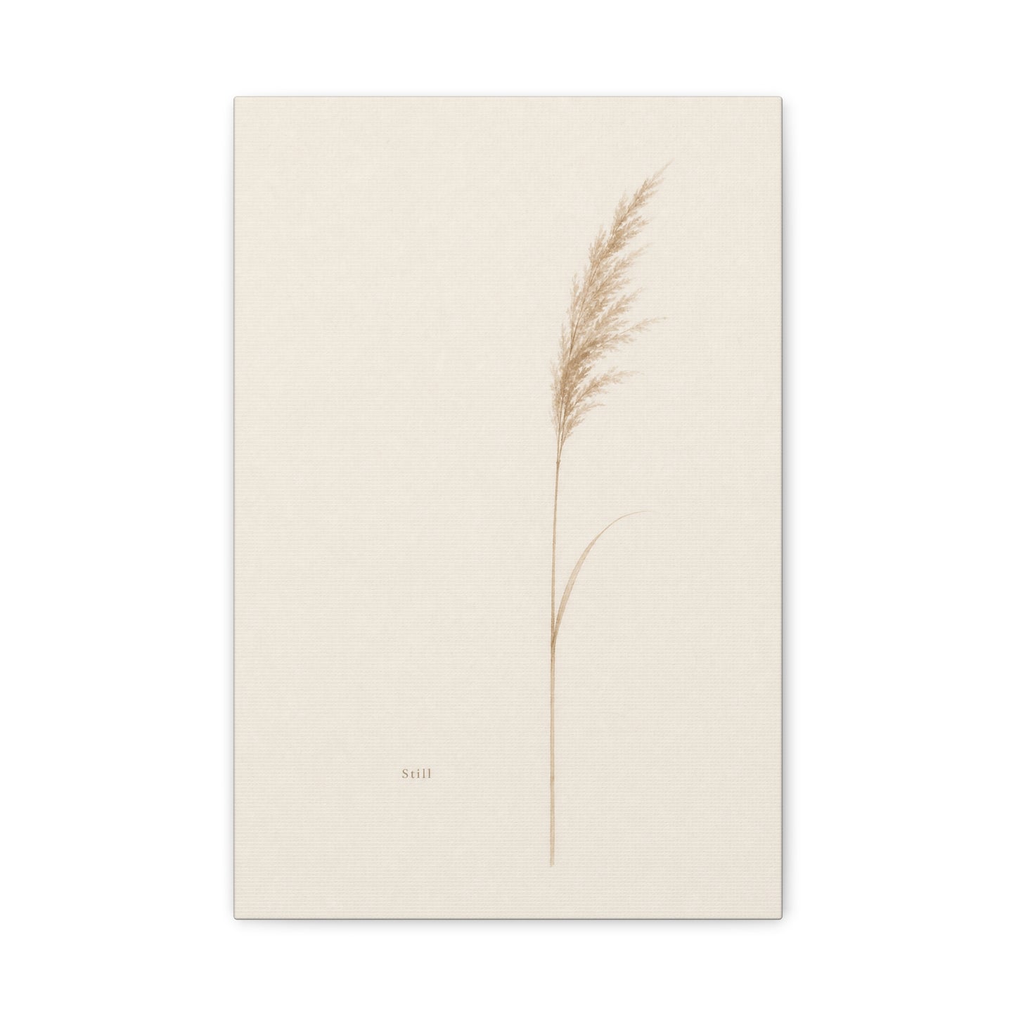 "Still" Minimalist Botanical Canvas Wall Art - Beige Pampas Grass Print, Neutral Contemporary Home Decor - Bedroom Living Room Decoration - Calm Nature Wall Hanging For Meditation Space