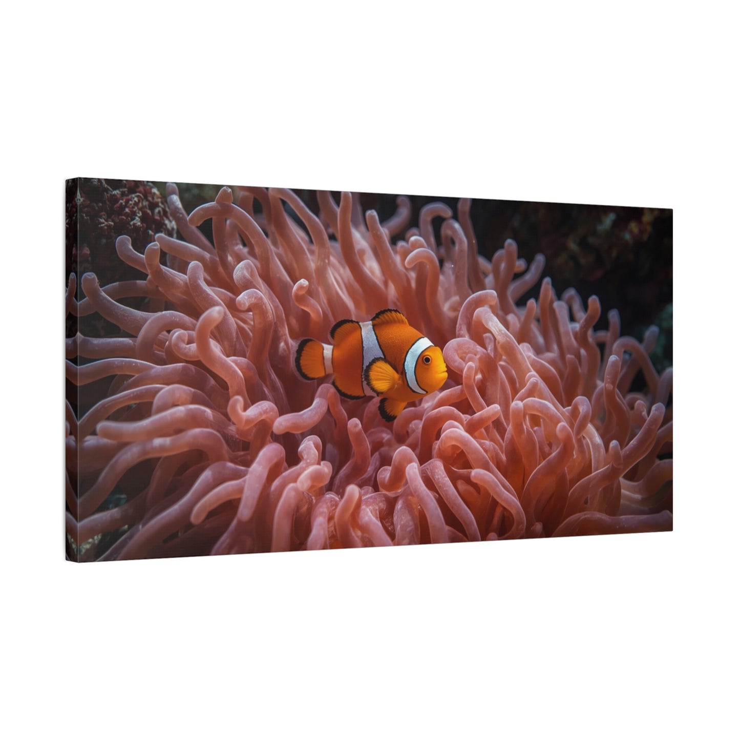 Clownfish Canvas Wall Art - Underwater Sea Anemone Art Print, Coastal Nautical Wall Decor - Matte Finish Stretched Canvas - Bedroom Decoration, Living Room Accent, Bathroom Art - Ready to Hang