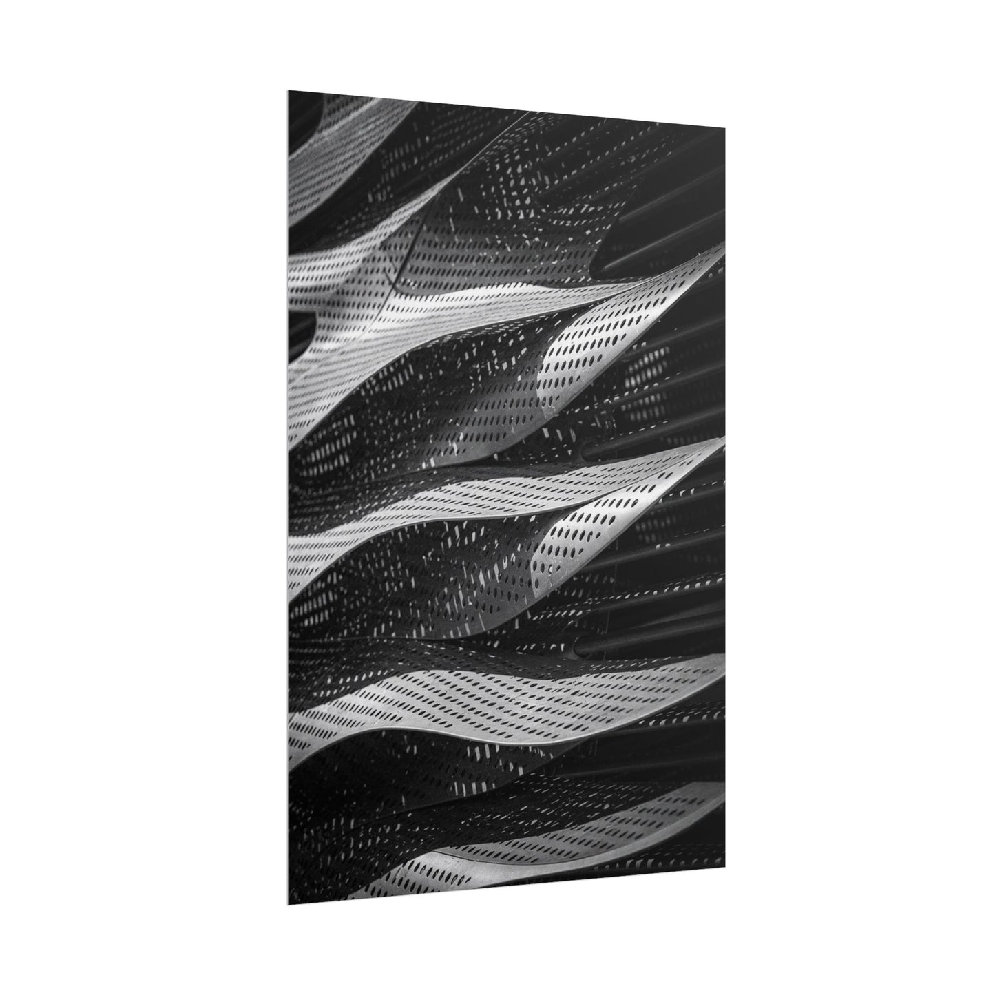 Flux Pro 2.0 Professional Black And White Photography O A5715ee7 — Poster