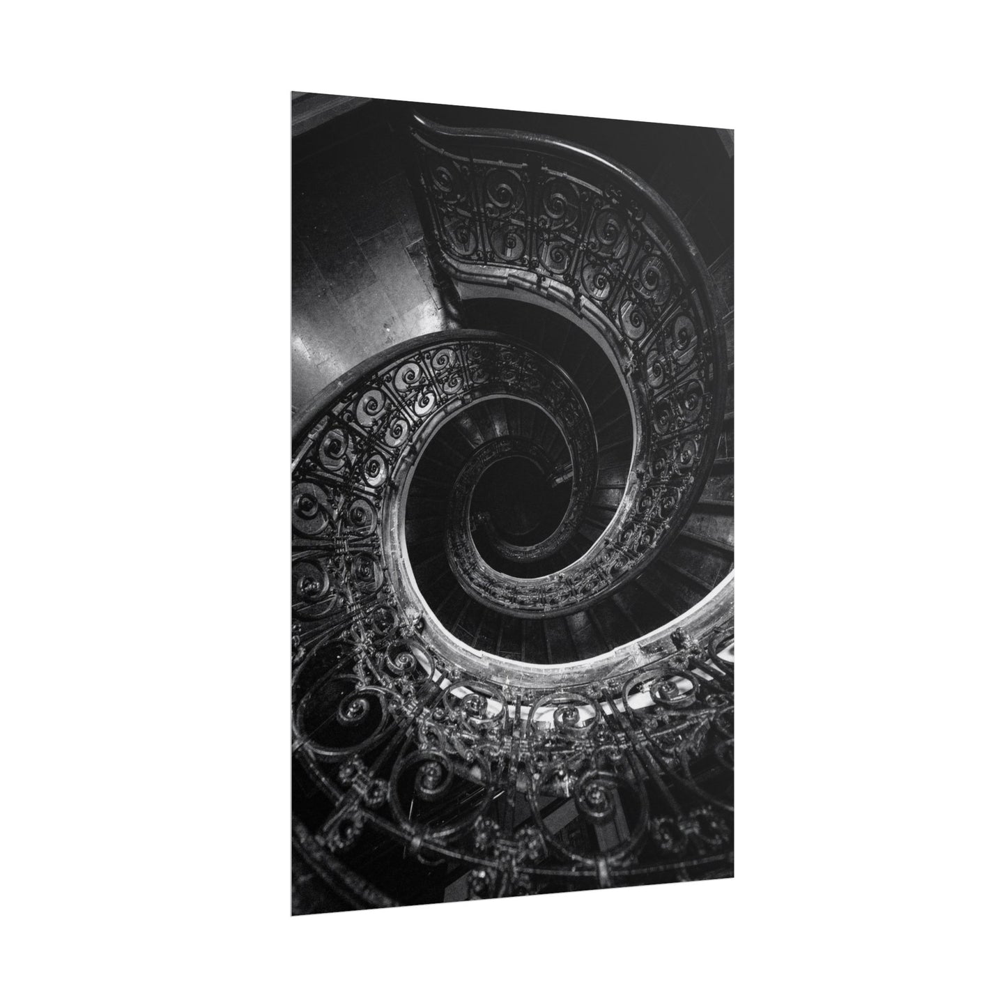 Flux Pro 2.0 Professional Black And White Photography O 65fff2a7 — Poster