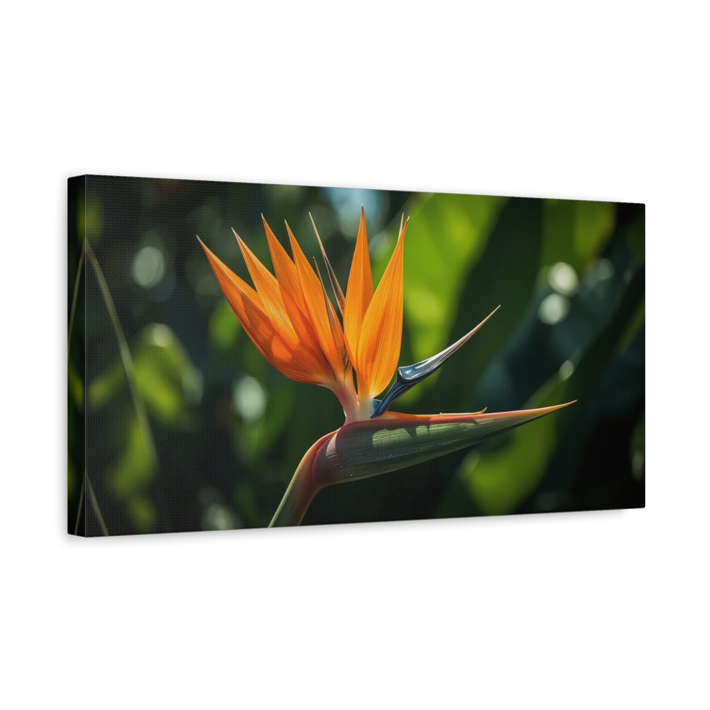 Bird Of Paradise Canvas Wall Art - Tropical Floral Botanical Art Print - Matte Cotton Art Print, Contemporary Nature Wall Decor - Living Room Bedroom Office Accent - Bedroom Home Decoration