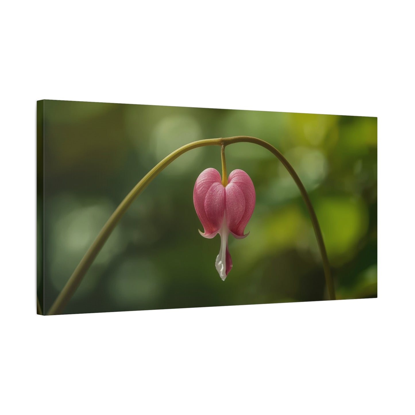 Bleeding Heart Flower Canvas Wall Art - Botanical Floral Art Print, Pink Bloom, Soft Green Bokeh - Contemporary Nature Wall Decor - Bedroom Home Decoration, Spa Wall Accent - Ready to Hang
