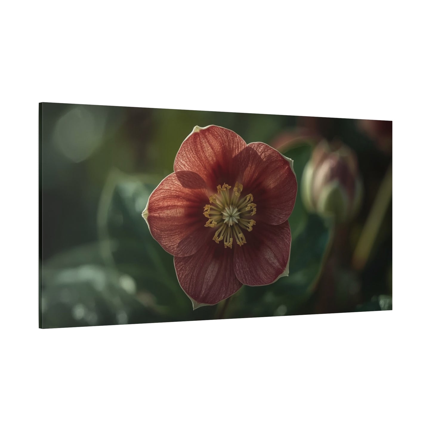 Hellebore Flower Canvas Wall Art - Botanical Floral Art Print, Moody Matte Canvas Print - Traditional Style, Bedroom Wall Decor, Living Room Home Decoration, Office Art - Bedroom Home Decoration