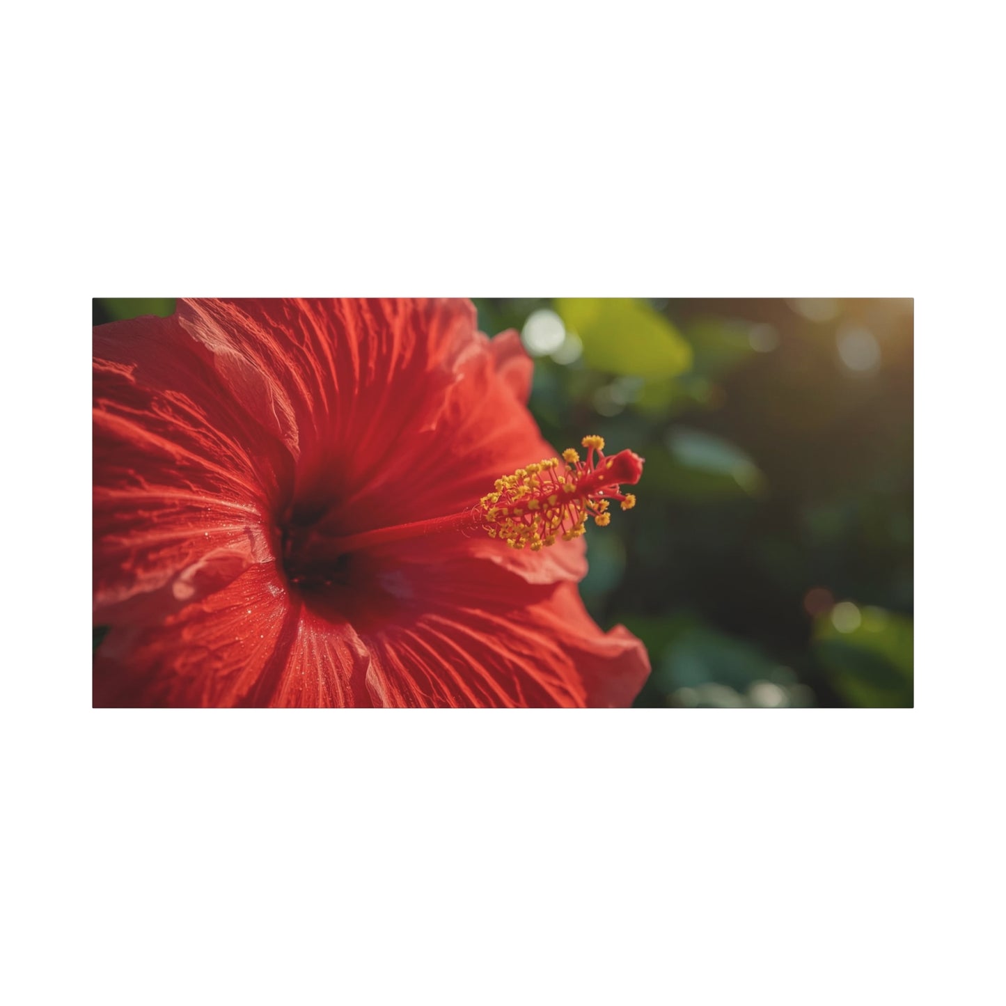 Red Hibiscus Flower Canvas Wall Art - Tropical Floral Botanical Art Print, Warm Sunlit Petals, Matte Cotton Canvas, Contemporary Nature Decor For Bedroom Living Room Office - Living Room Wall Decor