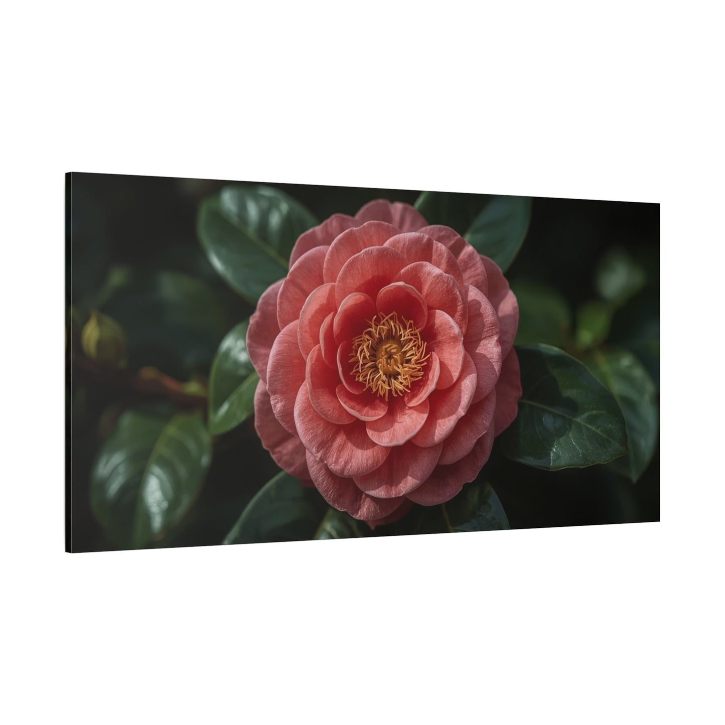 Pink Camellia Flower Canvas Wall Art - Botanical Floral Art Print, Dark Green Leaves, Matte Finish Decor - Traditional Style, Bedroom Wall Decor, Living Room Accent - Bedroom Home Decoration