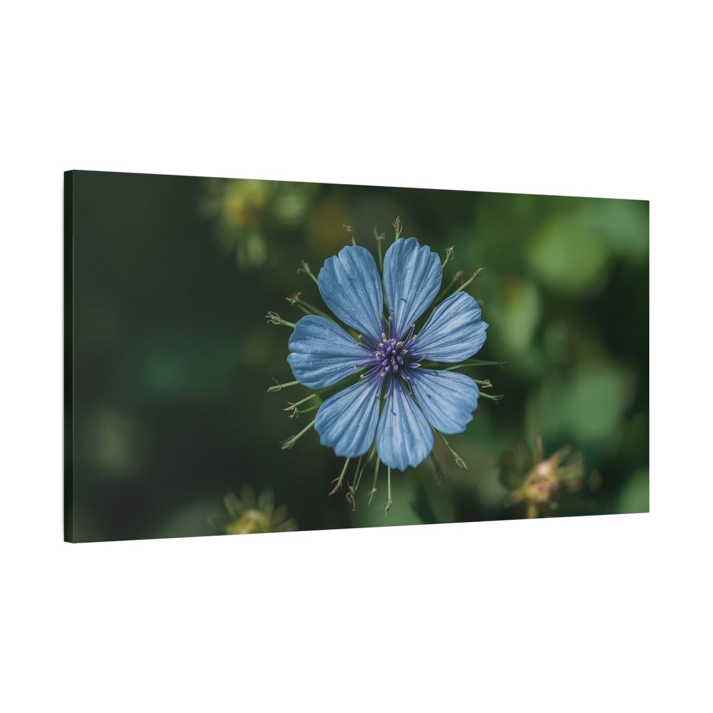Blue Chicory Flower Canvas Wall Art - Botanical Floral Macro Art Print - Soft Matte Cotton Canvas, Contemporary Nature Wall Decor - Bedroom Living Room Home Decoration - Modern Farmhouse Style