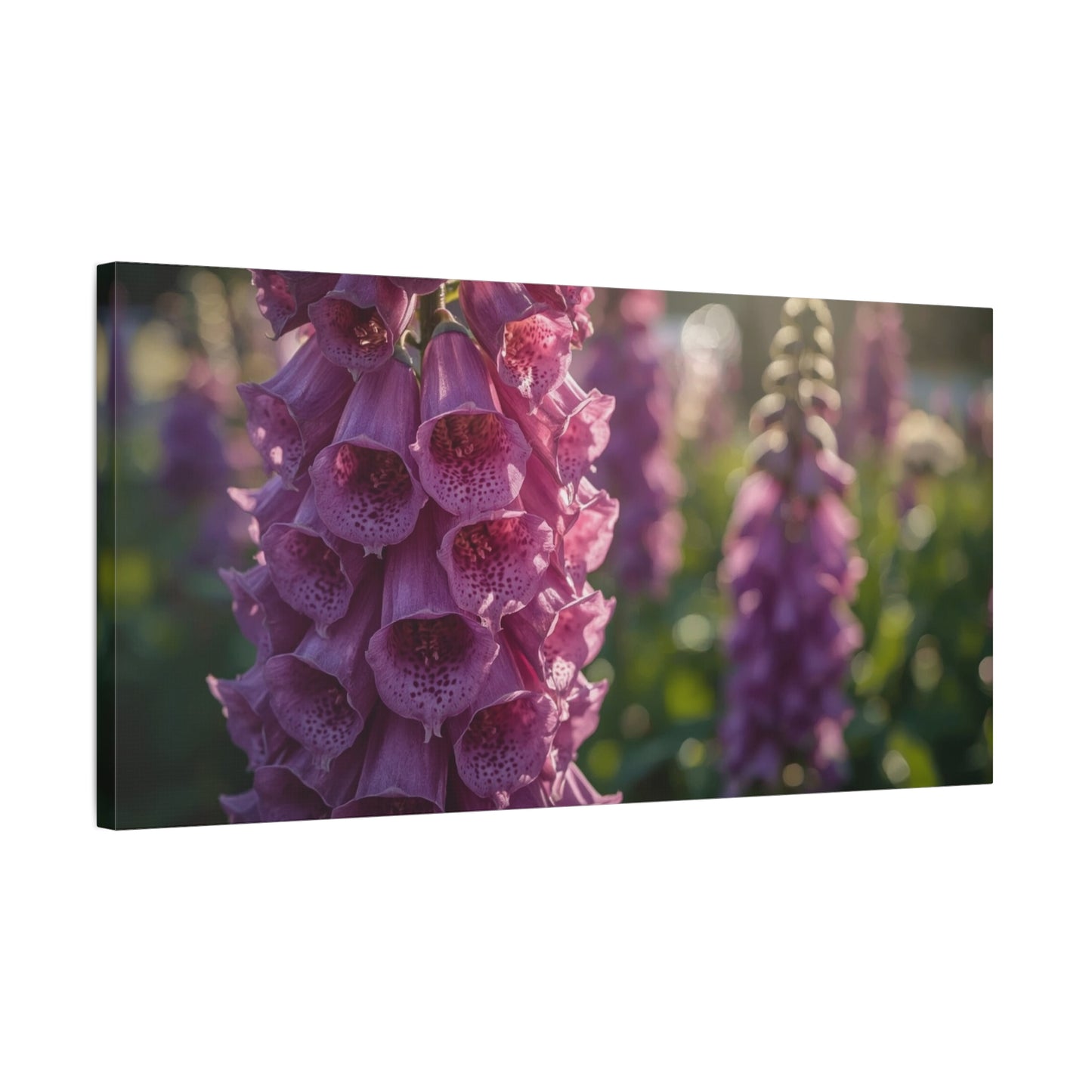 Purple Foxglove Flower Canvas Wall Art - Botanical Floral Art Print, Soft Golden Light, Matte Finish Decor - Bedroom Wall Hanging, Living Room Accent, Spa Style Interior Design - Ready to Hang
