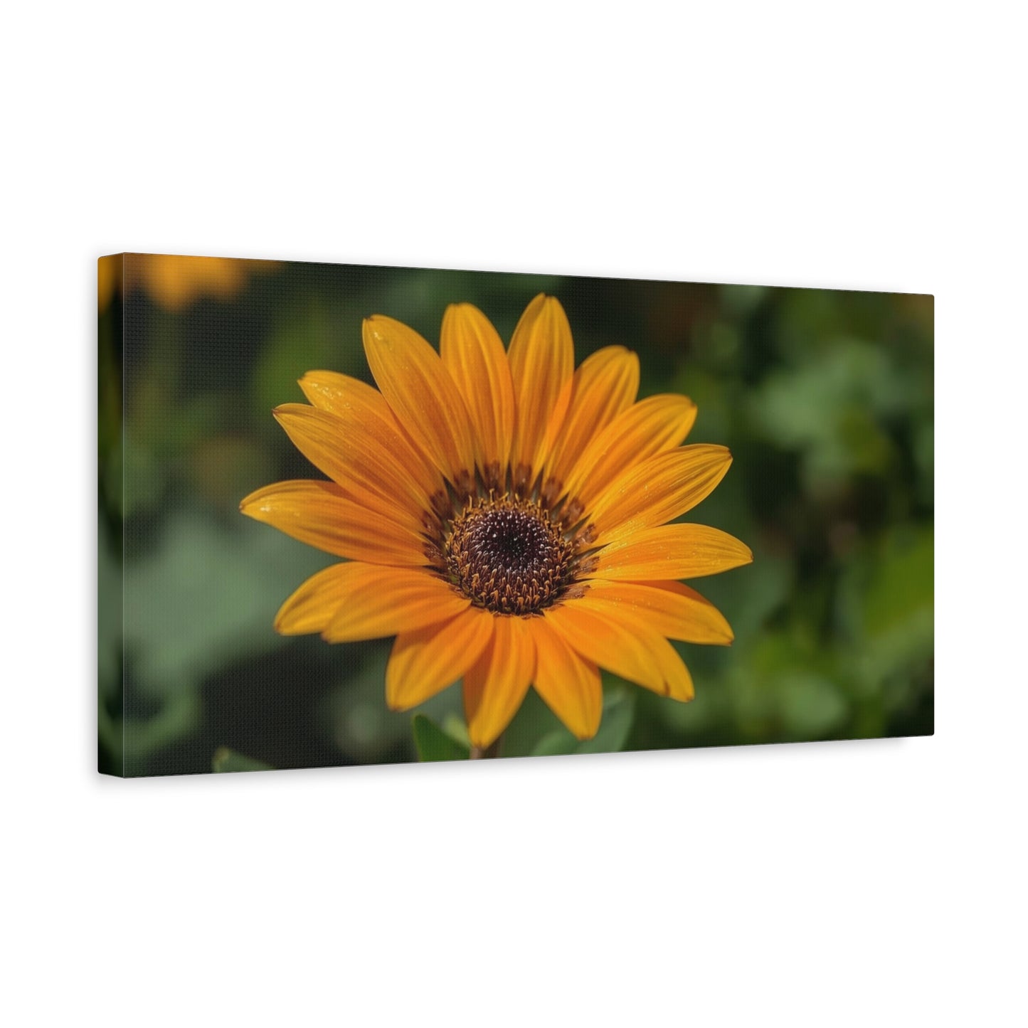 Orange Daisy Flower Canvas Wall Art - Botanical Floral Close Up Art Print, Nature Home Decor - Matte Cotton Canvas, Contemporary Style - Living Room Wall Decor Bedroom Accent - Cozy Reading Nook Art
