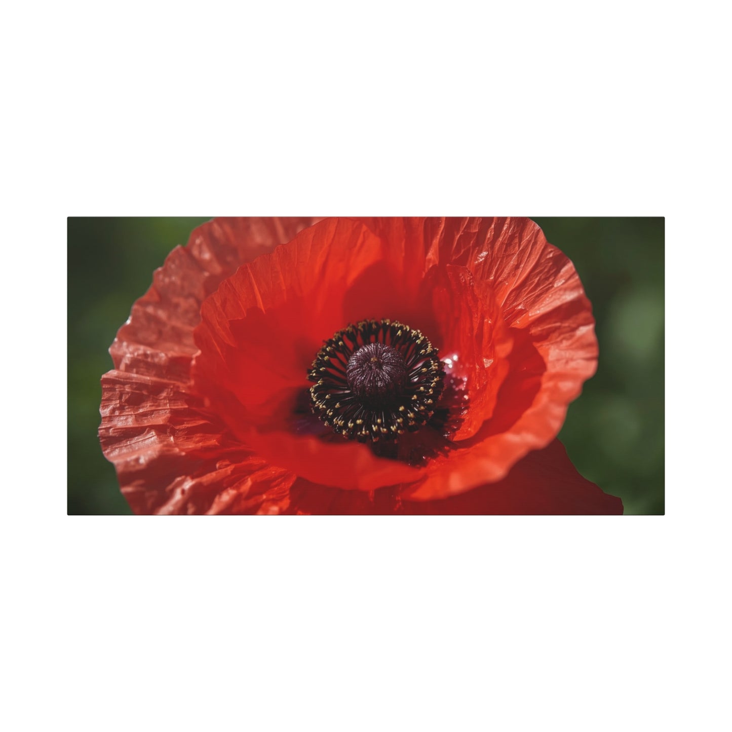 Red Poppy Flower Canvas Wall Art - Macro Botanical Art Print, Floral Nature Decor - Matte Cotton Canvas Print - Contemporary Style, Living Room Wall Decor, Bedroom Home Accent - Ready to Hang