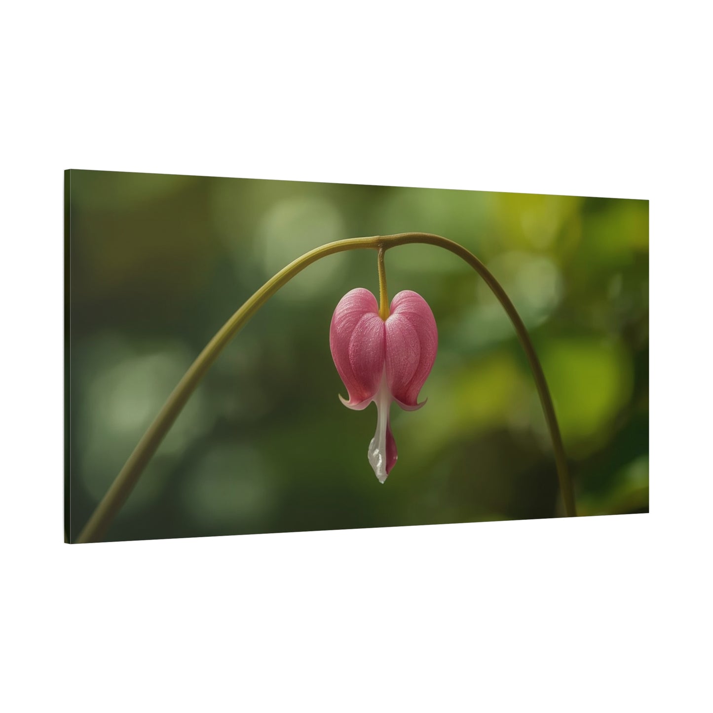 Bleeding Heart Flower Canvas Wall Art - Botanical Floral Art Print, Pink Bloom, Soft Green Bokeh - Contemporary Nature Wall Decor - Bedroom Home Decoration, Spa Wall Accent - Ready to Hang