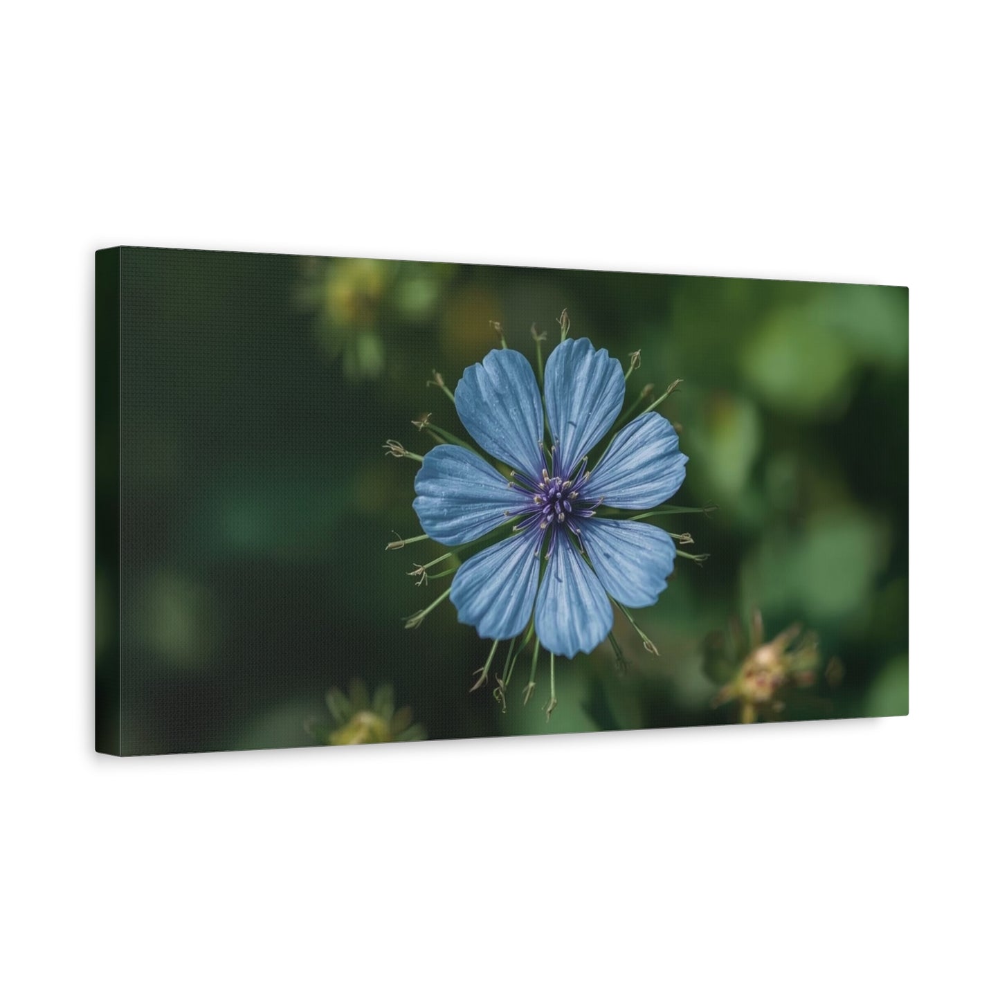 Blue Chicory Flower Canvas Wall Art - Botanical Floral Macro Art Print - Soft Matte Cotton Canvas, Contemporary Nature Wall Decor - Bedroom Living Room Home Decoration - Modern Farmhouse Style