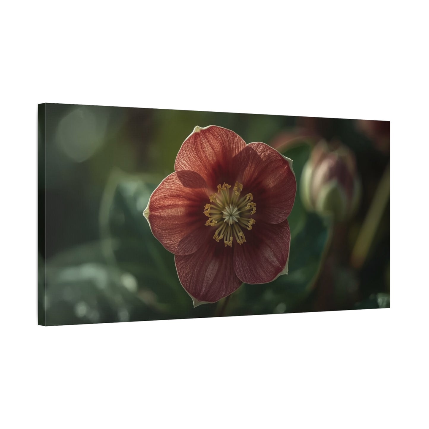 Hellebore Flower Canvas Wall Art - Botanical Floral Art Print, Moody Matte Canvas Print - Traditional Style, Bedroom Wall Decor, Living Room Home Decoration, Office Art - Bedroom Home Decoration
