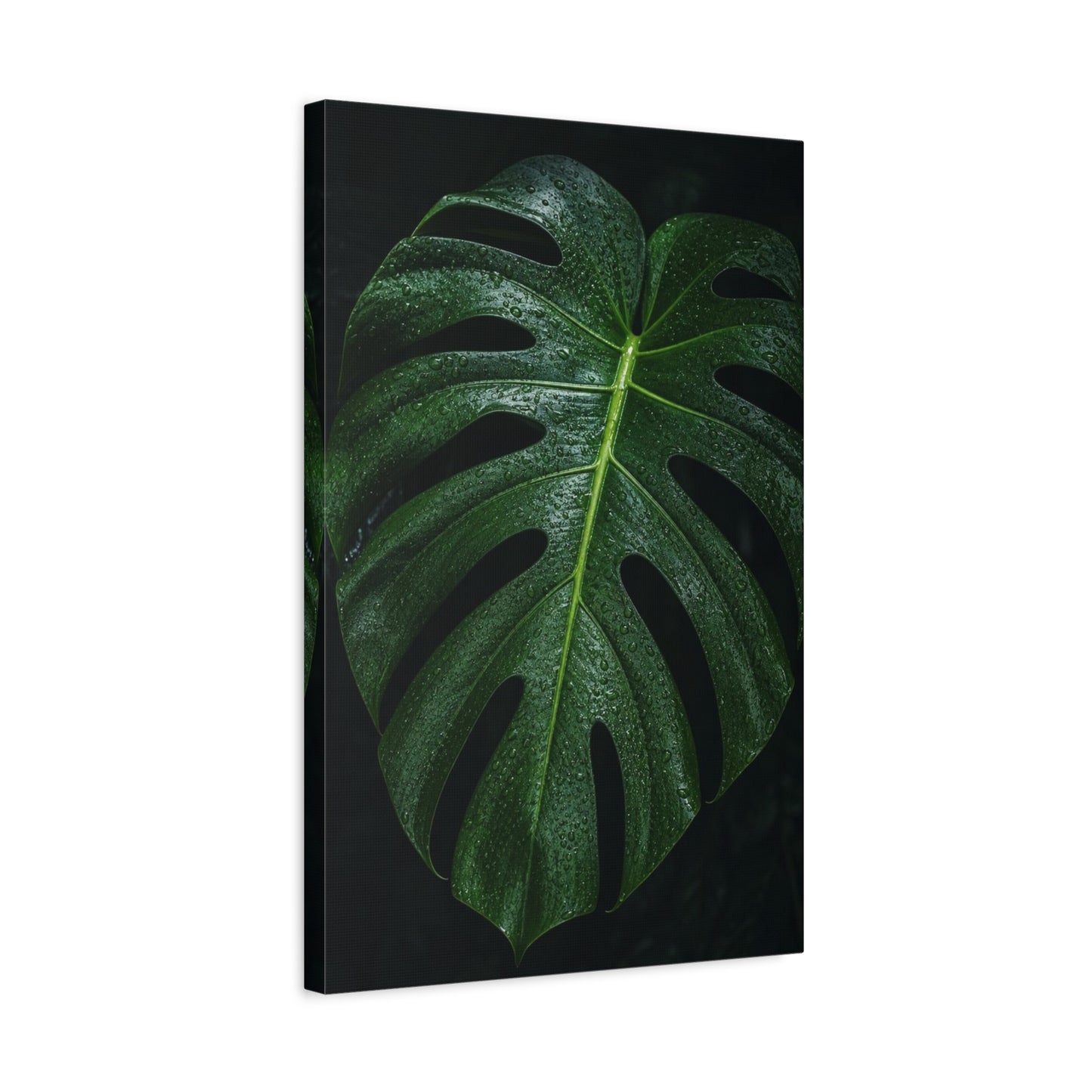 Monstera Leaf Canvas Wall Art - Botanical Art Print, Dark Green Tropical Foliage Print - Matte Cotton Canvas - Contemporary Minimalist Style - Living Room Wall Decor, Bedroom Home Accent