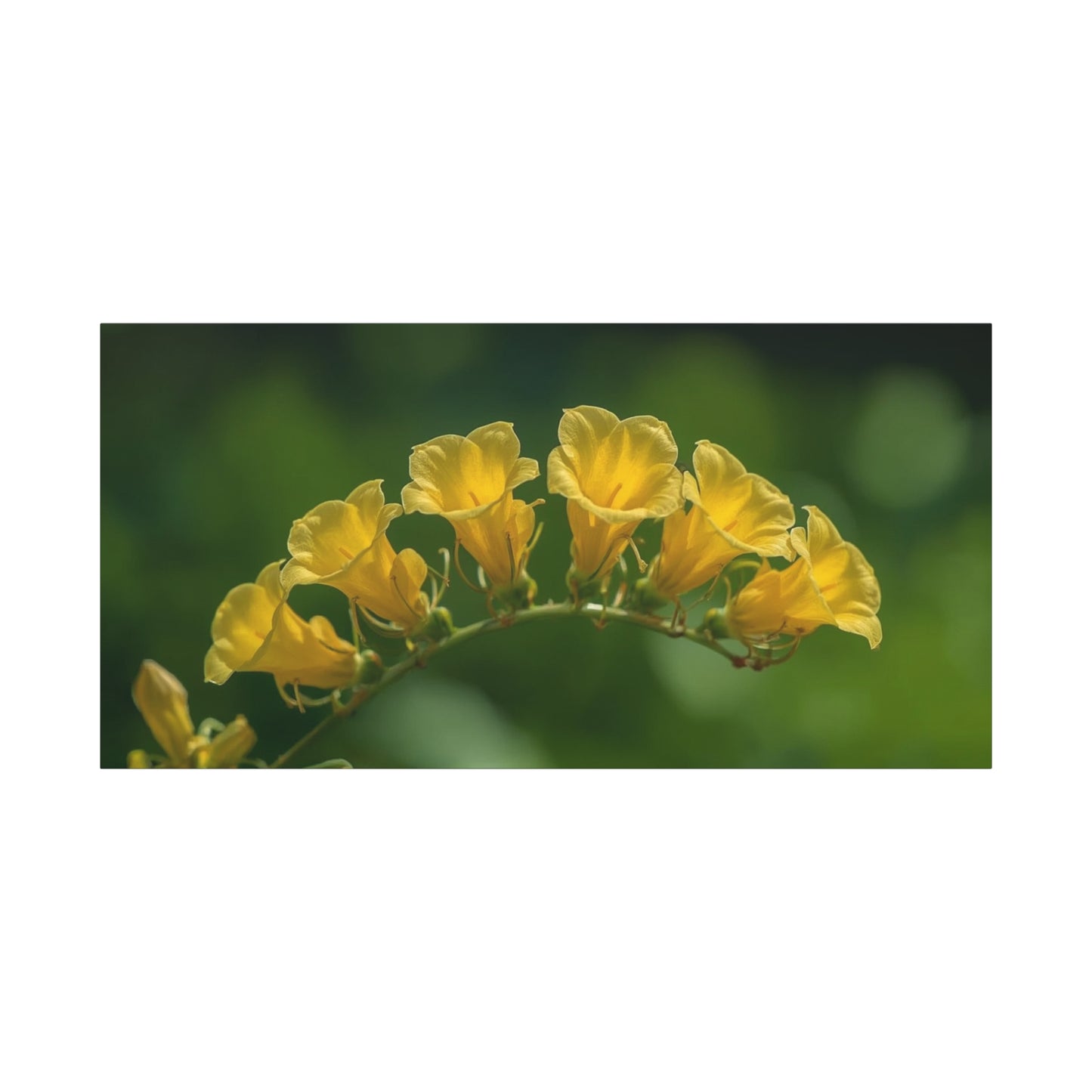 Yellow Trumpet Flower Canvas Wall Art - Botanical Macro Floral Art Print, Matte Cotton Print - Contemporary Nature Style - Bedroom Wall Decor, Living Room Home Accent - Bedroom Home Decoration