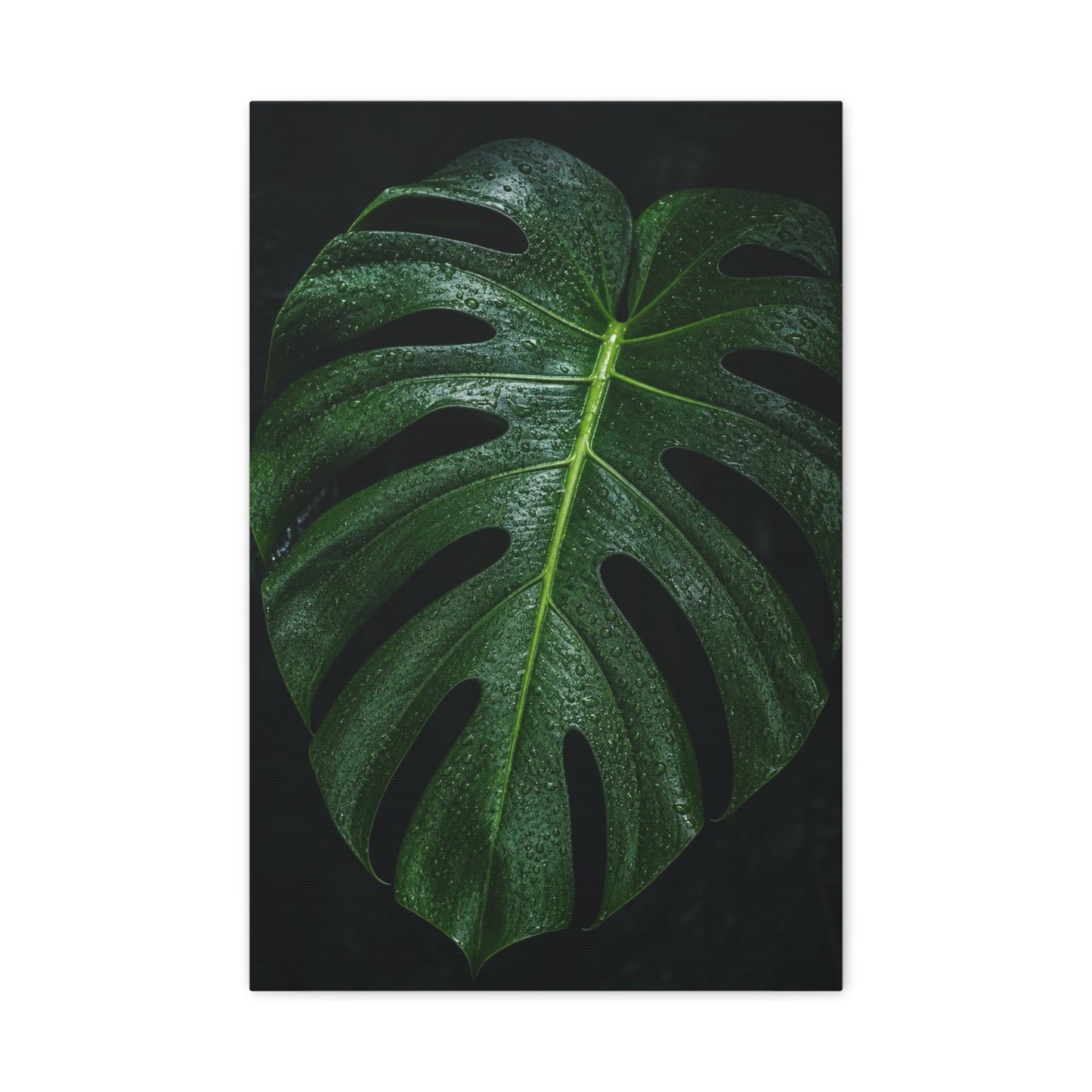 Monstera Leaf Canvas Wall Art - Botanical Art Print, Dark Green Tropical Foliage Print - Matte Cotton Canvas - Contemporary Minimalist Style - Living Room Wall Decor, Bedroom Home Accent