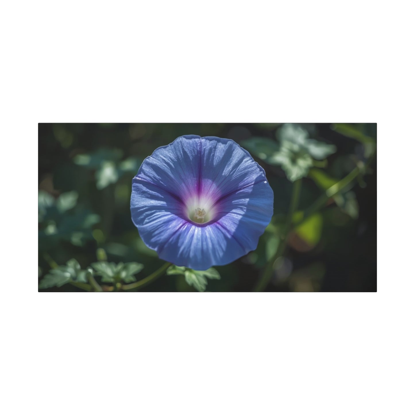 Blue Morning Glory Canvas Wall Art - Floral Botanical Art Print, Purple Bloom Wall Decor - Matte Cotton Art Print, Contemporary Nature Style - Bedroom Decoration, Living Room Accent - Ready to Hang