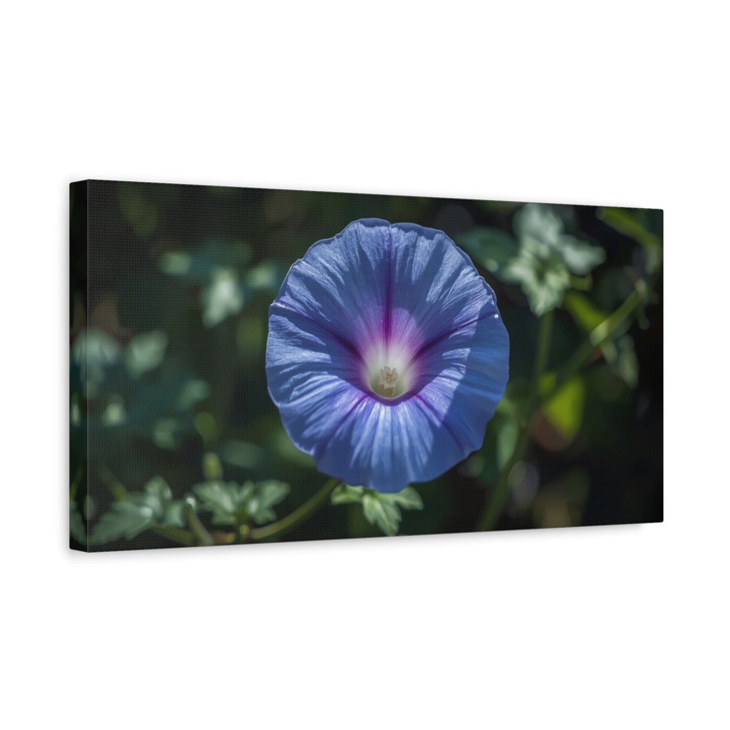 Blue Morning Glory Canvas Wall Art - Floral Botanical Art Print, Purple Bloom Wall Decor - Matte Cotton Art Print, Contemporary Nature Style - Bedroom Decoration, Living Room Accent - Ready to Hang