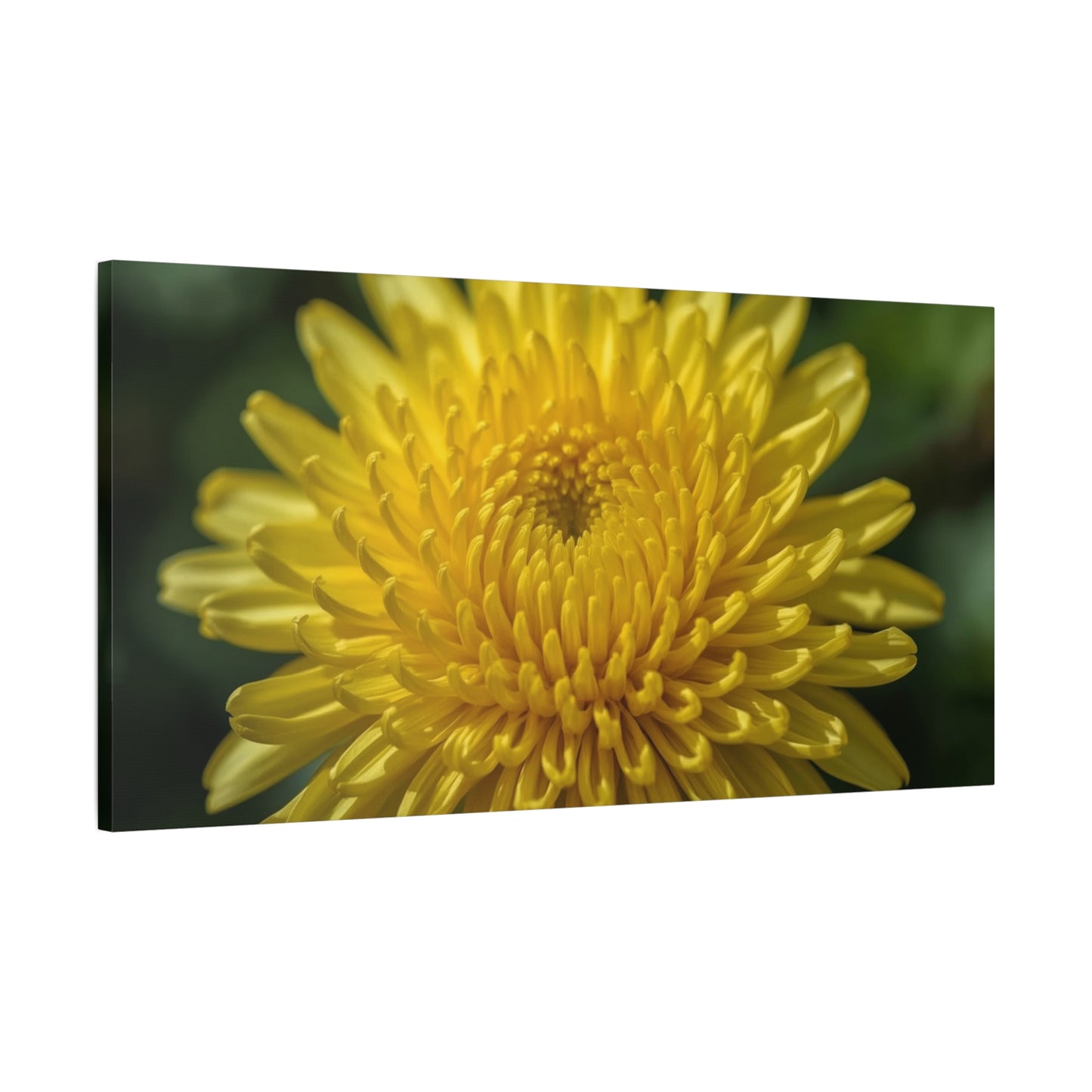 Yellow Chrysanthemum Canvas Wall Art - Floral Macro Art Print, Botanical Canvas Print - Modern Matte Decor, Bedroom Wall Accent, Living Room Home Decoration Office Art - Bedroom Home Decoration