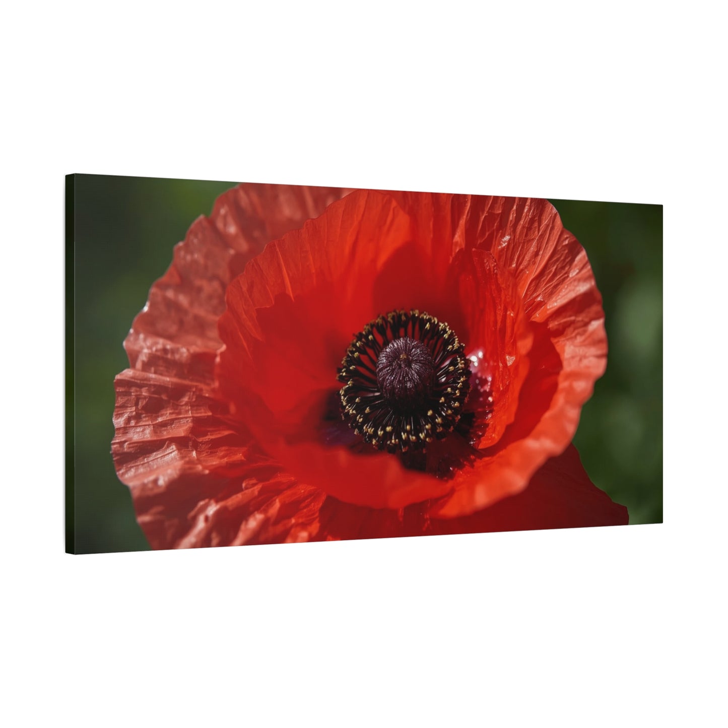 Red Poppy Flower Canvas Wall Art - Macro Botanical Art Print, Floral Nature Decor - Matte Cotton Canvas Print - Contemporary Style, Living Room Wall Decor, Bedroom Home Accent - Ready to Hang