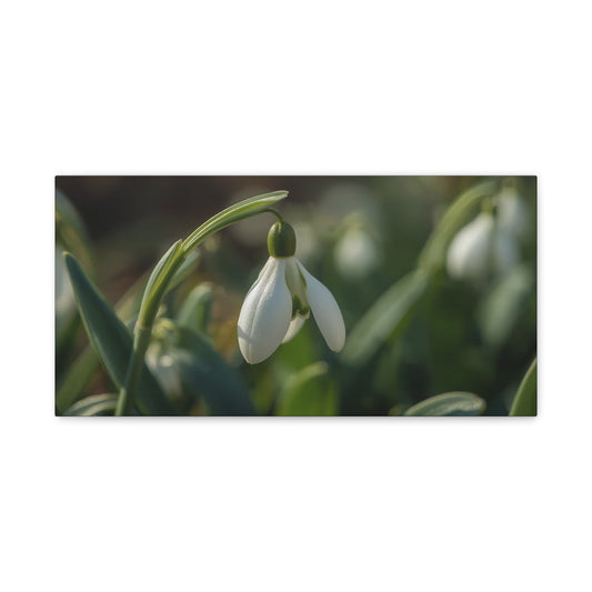Snowdrop Flower Canvas Wall Art - Botanical Macro Art Print, Soft Green White Floral Print - Matte Cotton Canvas - Traditional Nature Style - Bedroom Wall Decor, Spa Wall Art - Ready to Hang